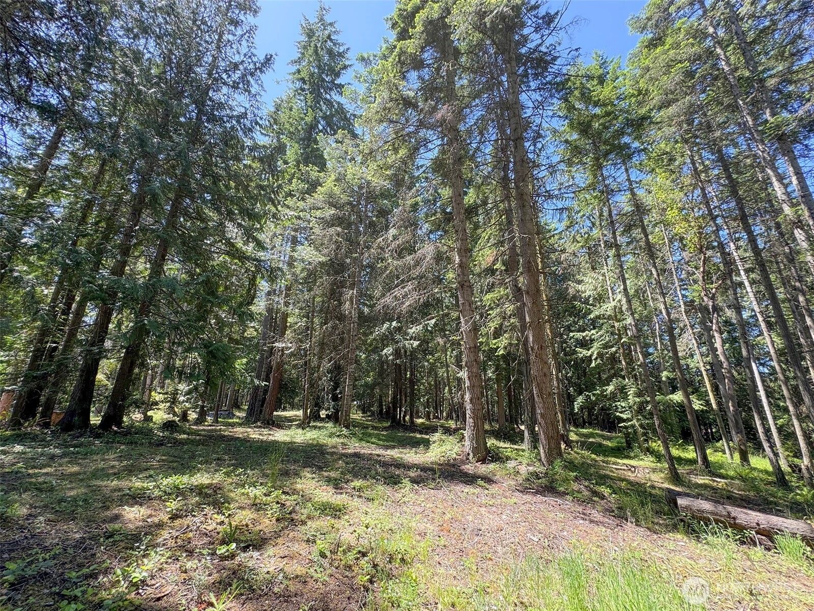 999 N Bagley Creek Road Property Photo 9