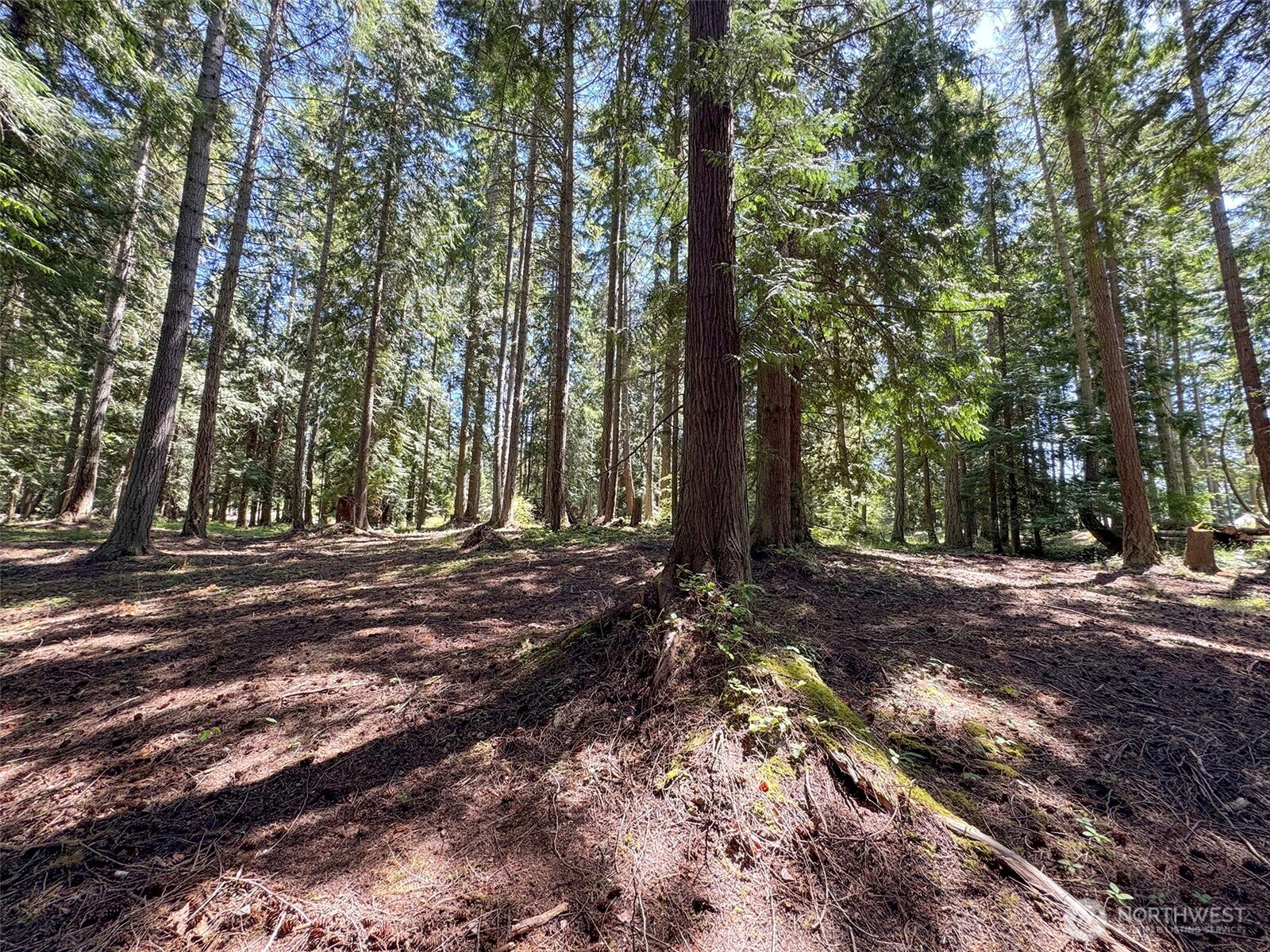 999 N Bagley Creek Road Property Photo 10