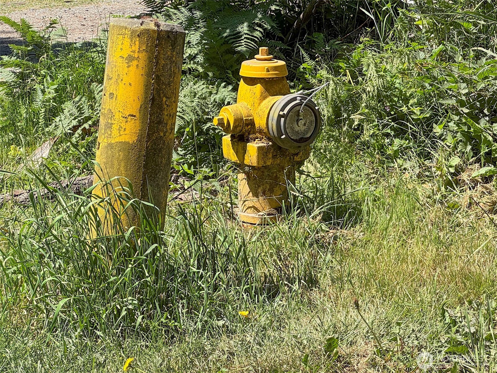 999 N Bagley Creek Road Property Photo 12