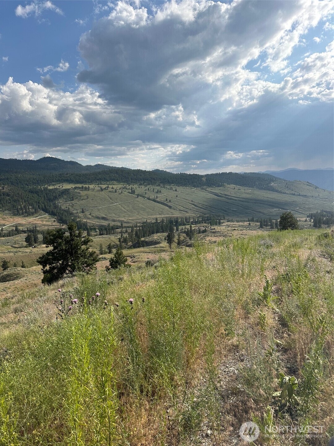 0 X Old Tressle Road Property Photo 20