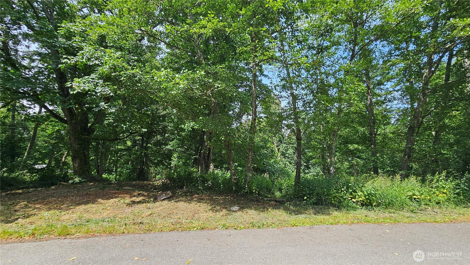 304 Dove Drive Property Photo 1