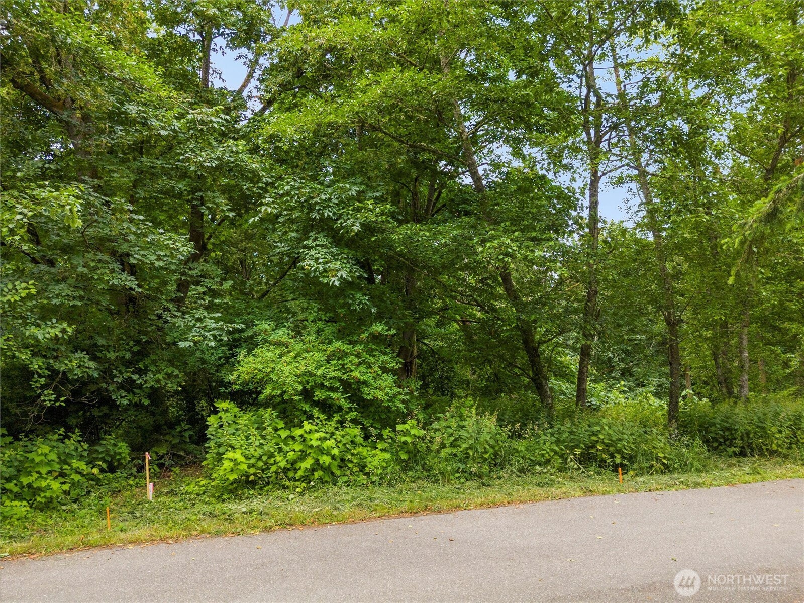 304 Dove Drive Property Photo 5