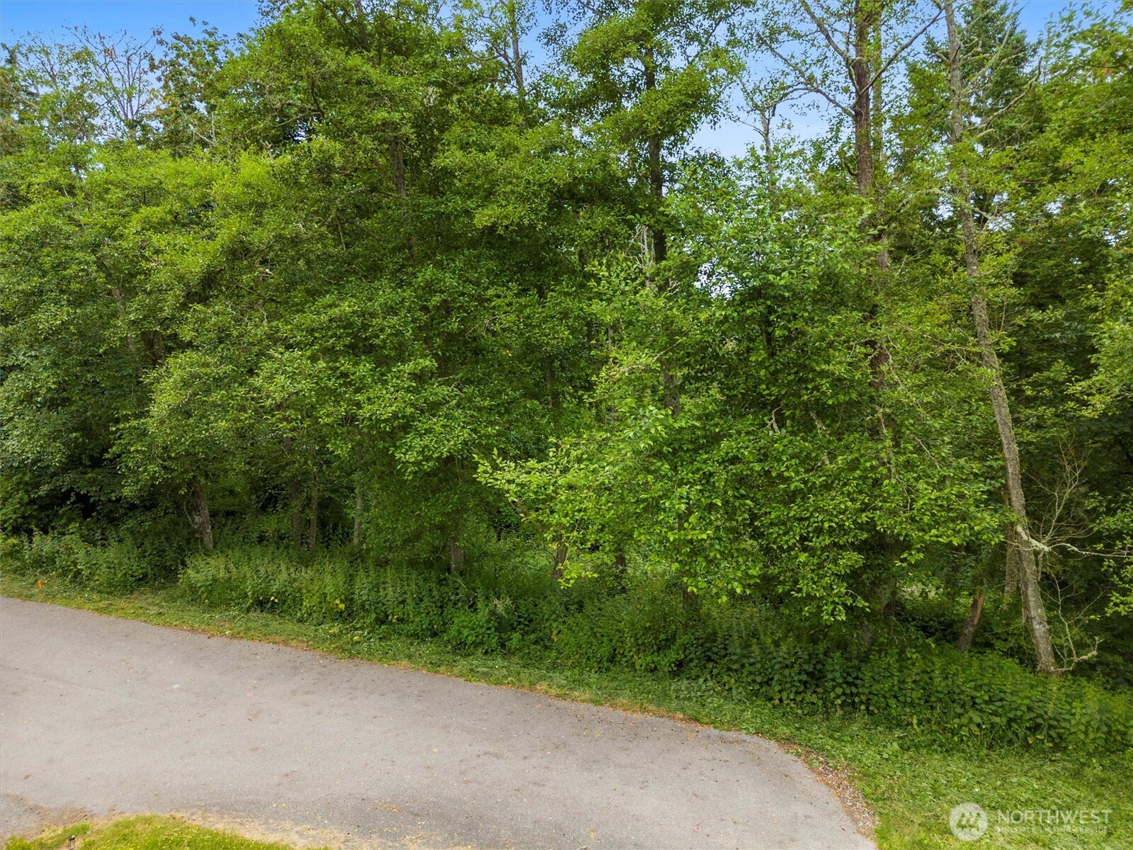 304 Dove Drive Property Photo 6
