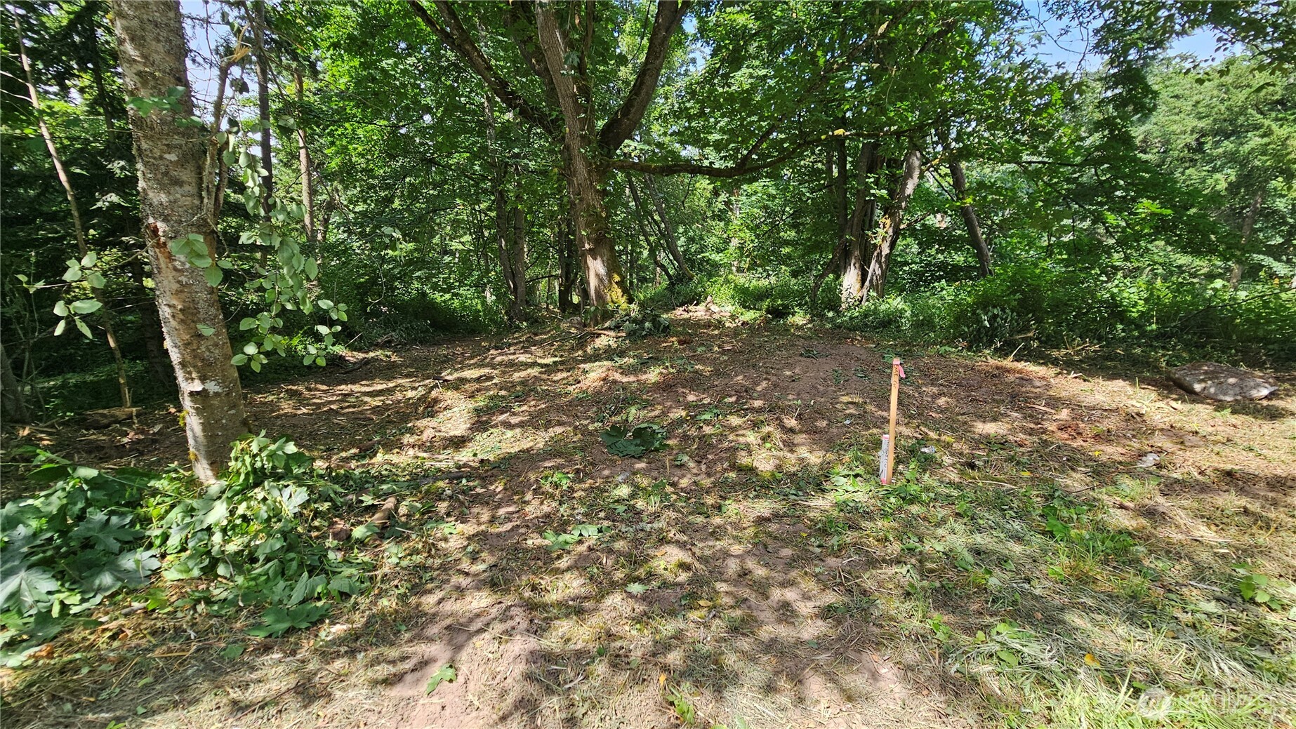 304 Dove Drive Property Photo 7