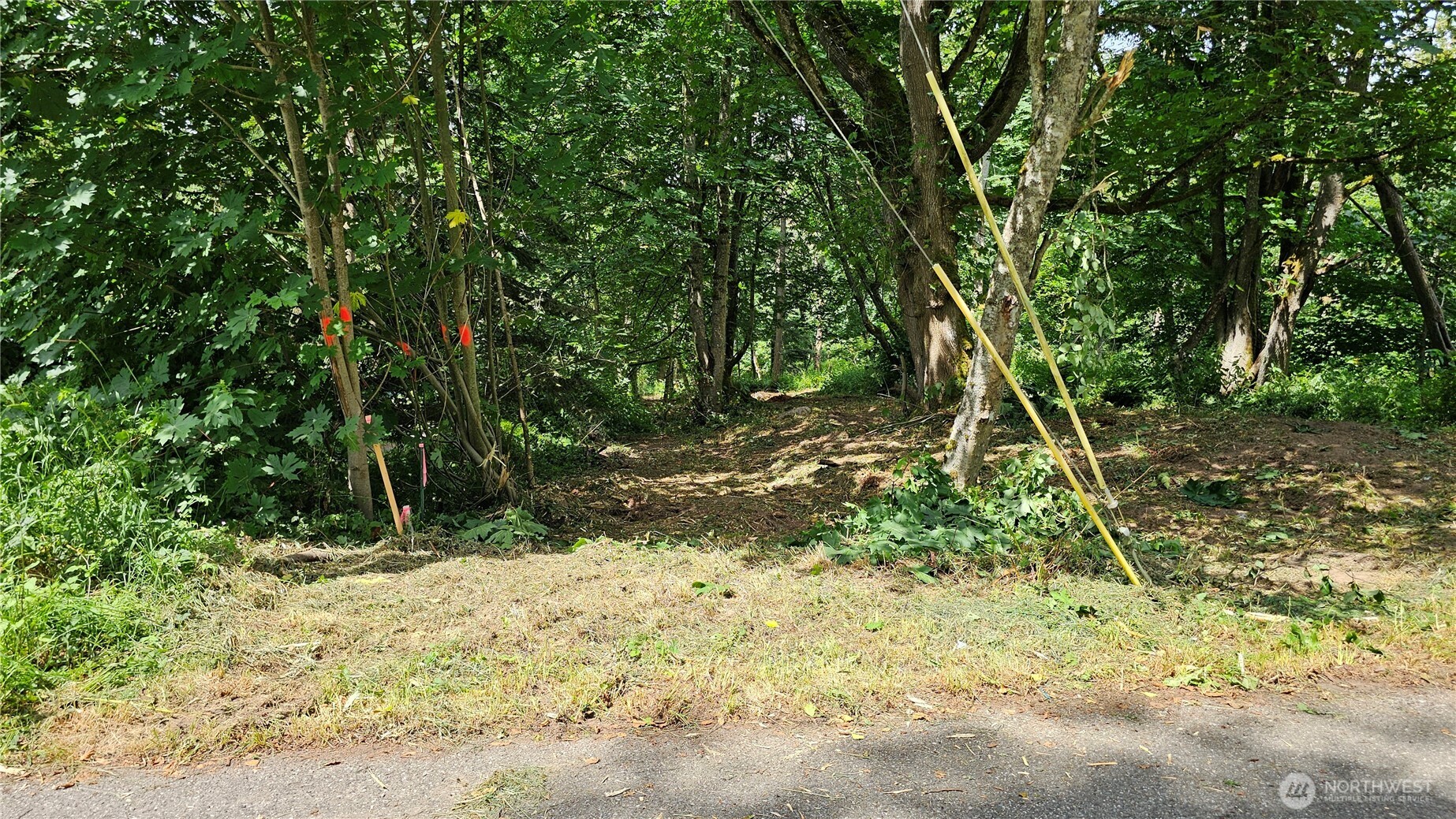 304 Dove Drive Property Photo 8