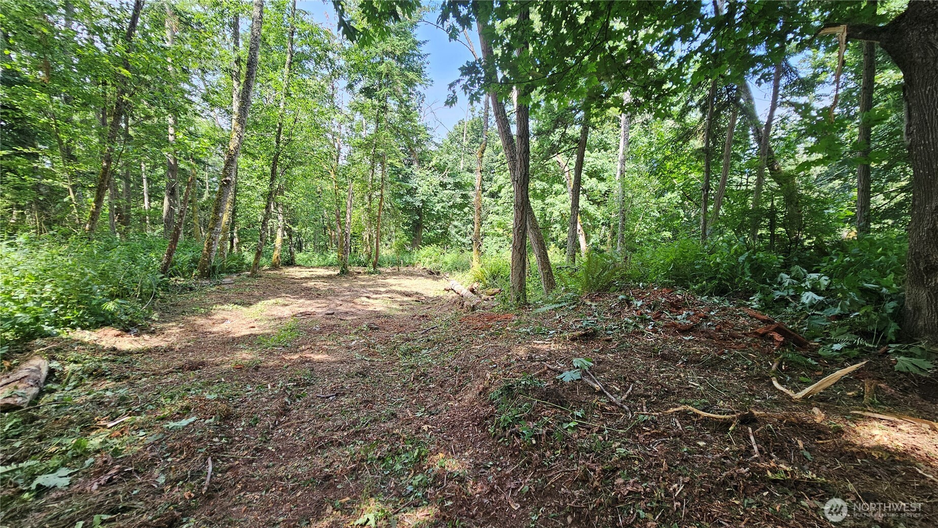304 Dove Drive Property Photo 10