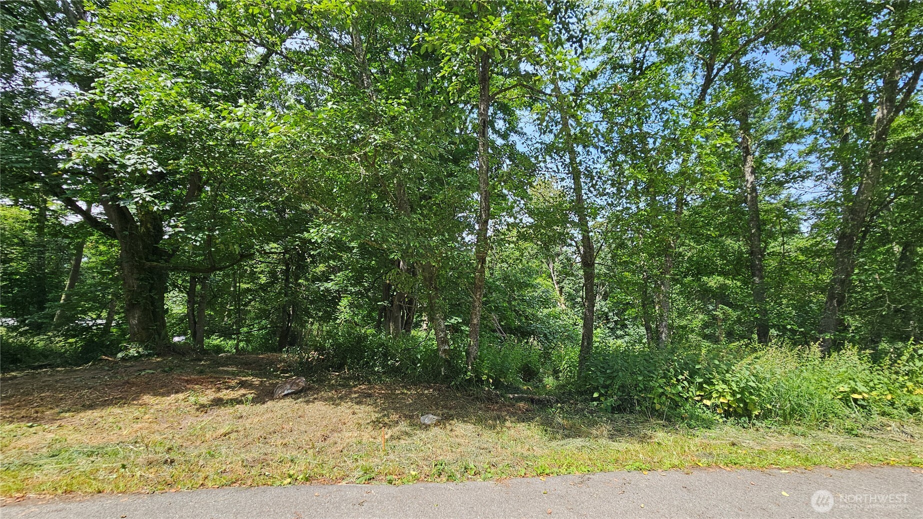 304 Dove Drive Property Photo 11