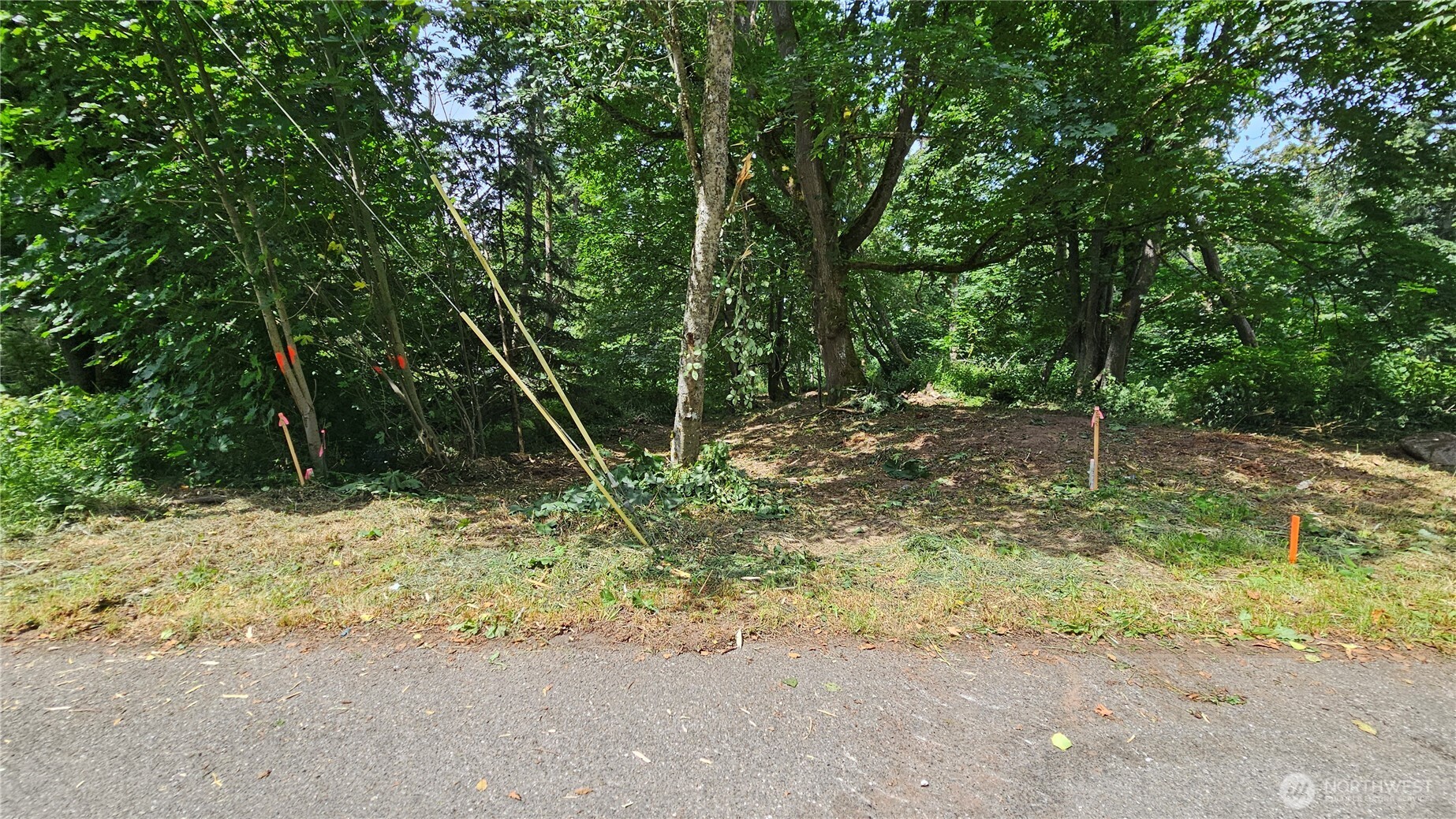 304 Dove Drive Property Photo 12