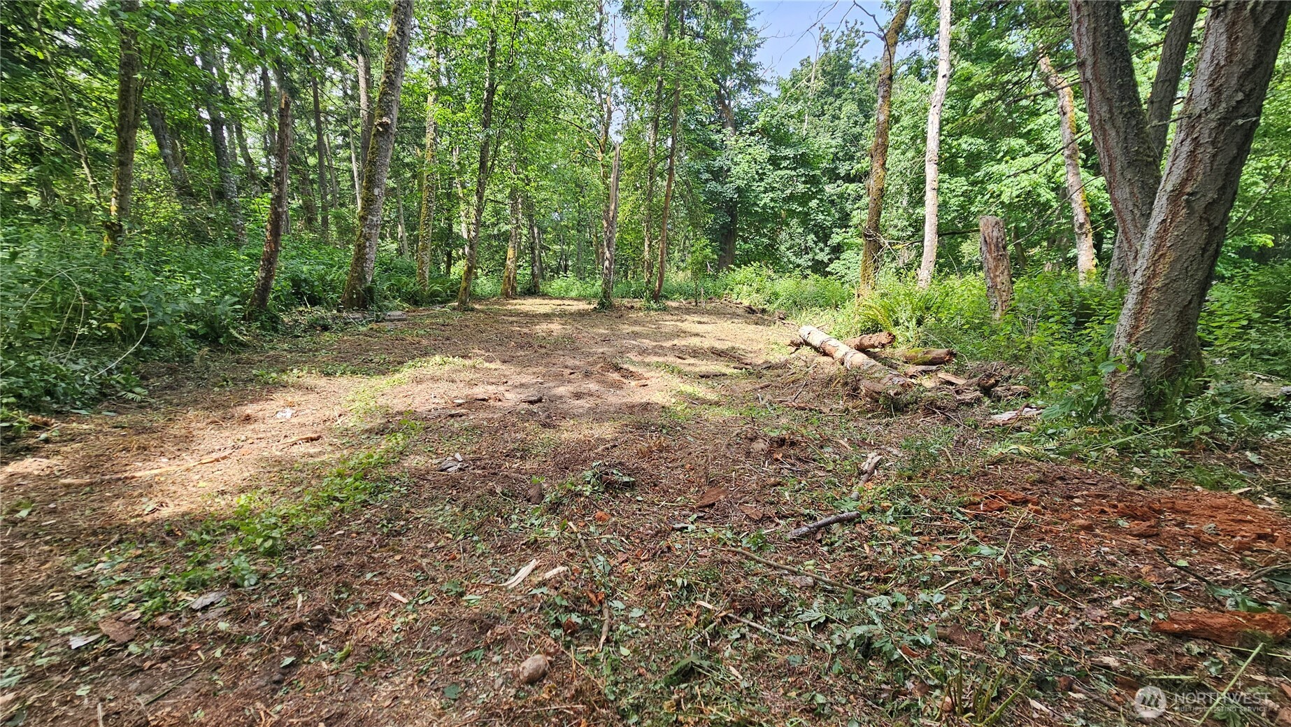 304 Dove Drive Property Photo 14