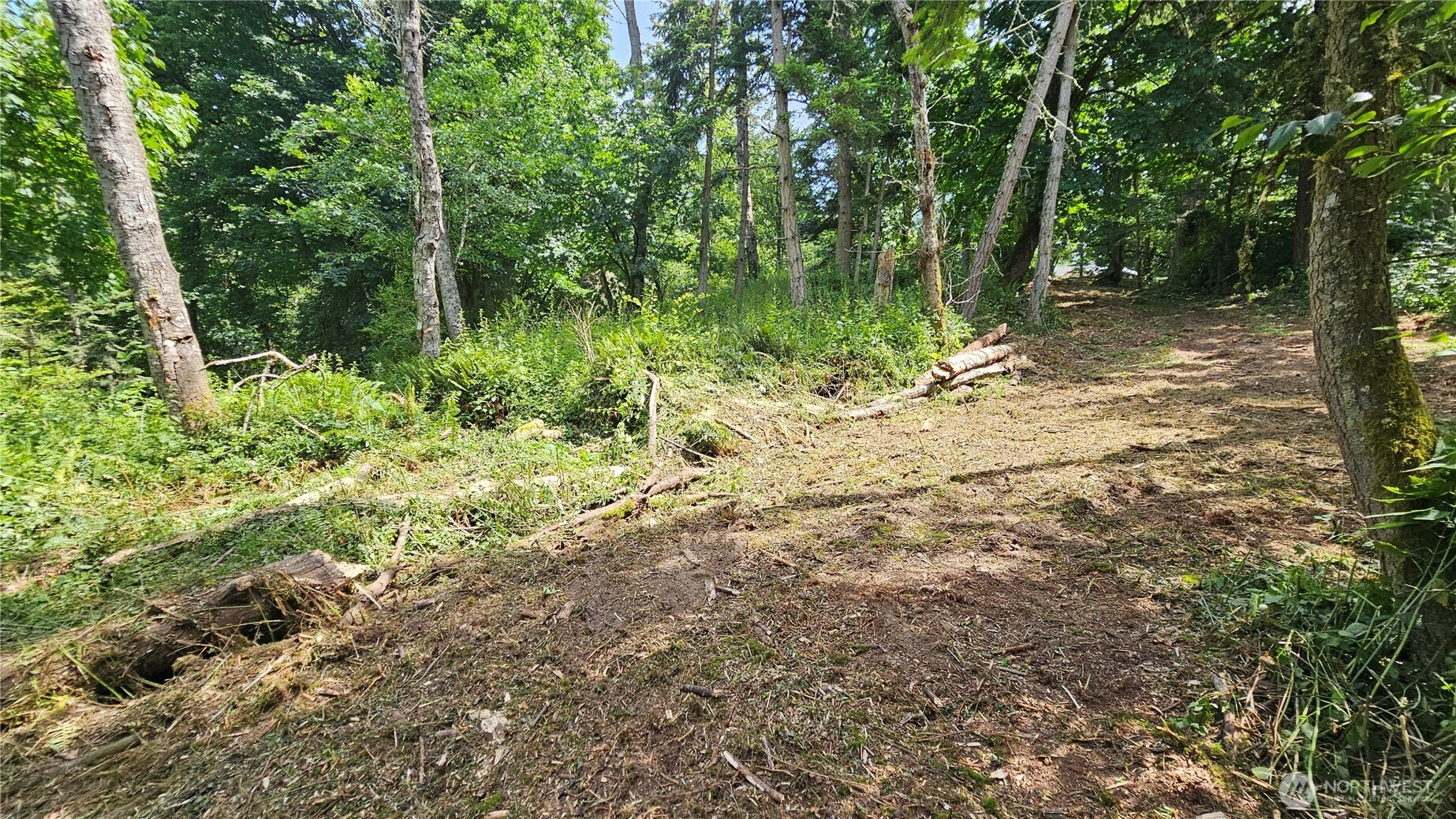 304 Dove Drive Property Photo 16