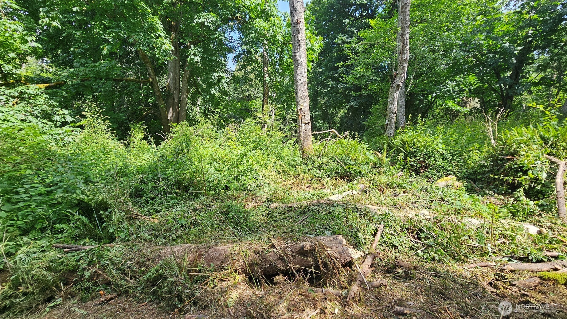 304 Dove Drive Property Photo 17