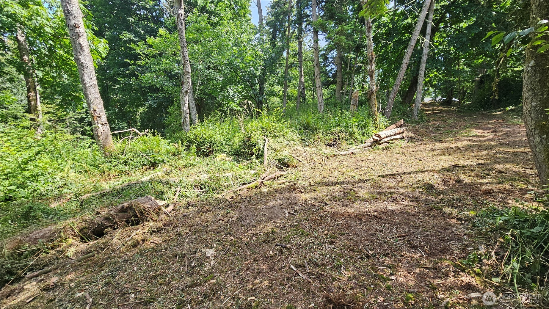 304 Dove Drive Property Photo 19