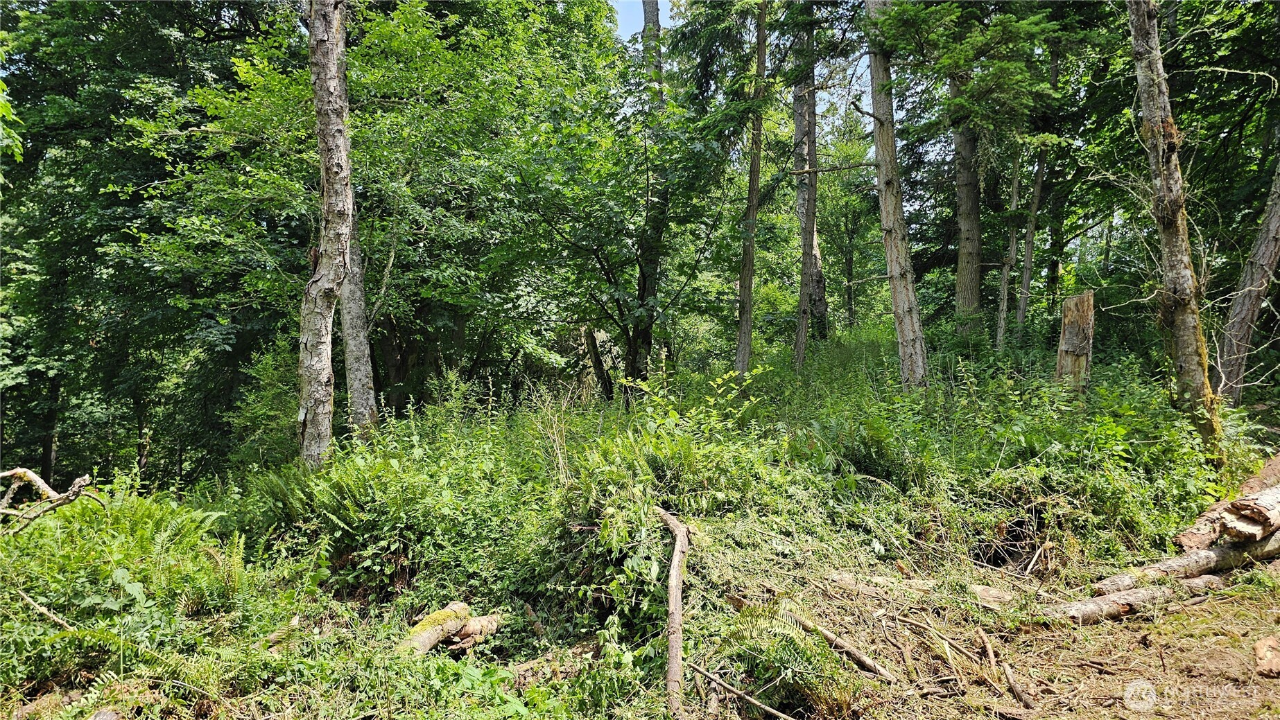 304 Dove Drive Property Photo 20