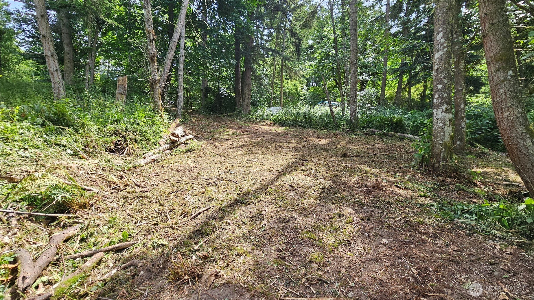 304 Dove Drive Property Photo 21