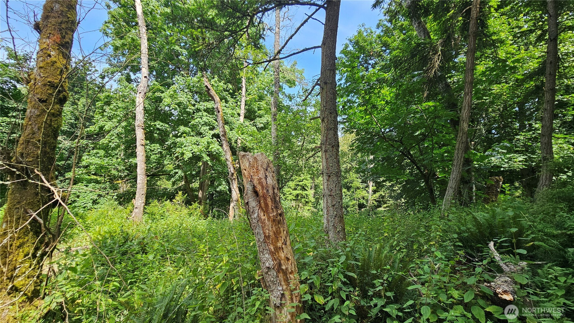 304 Dove Drive Property Photo 22