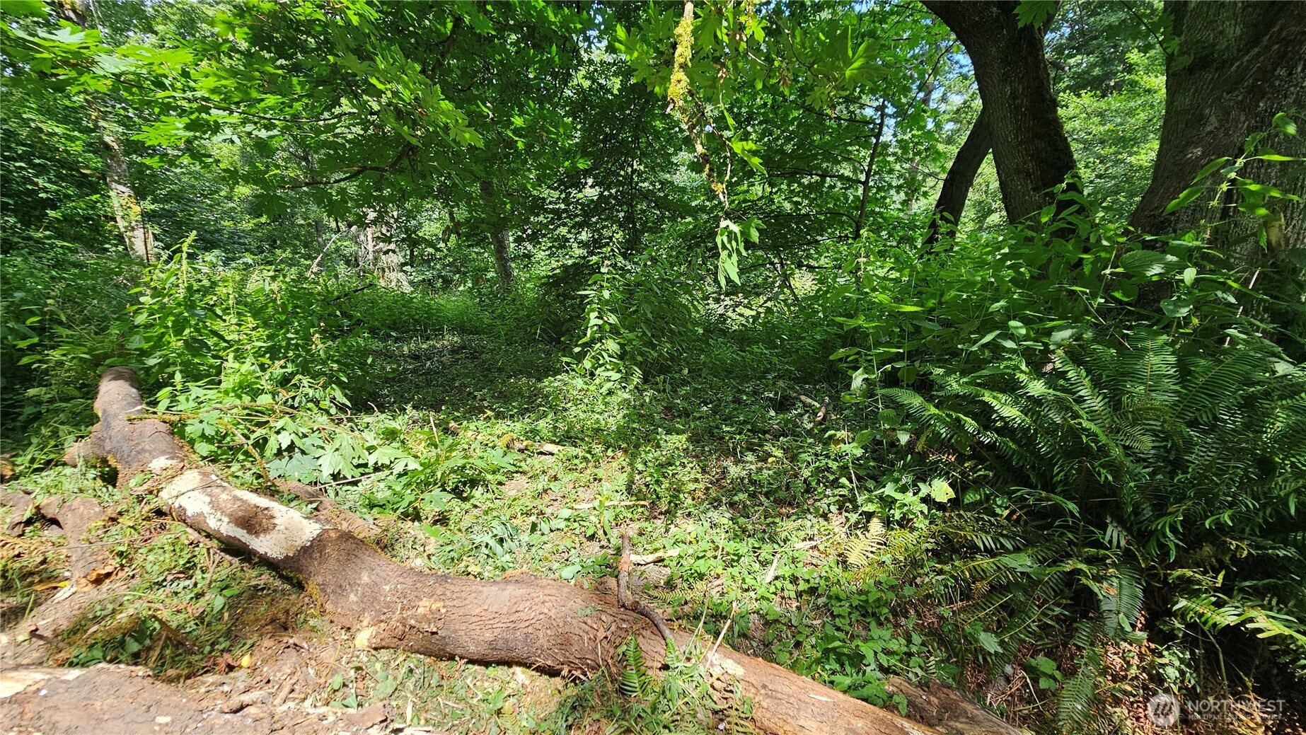 304 Dove Drive Property Photo 26