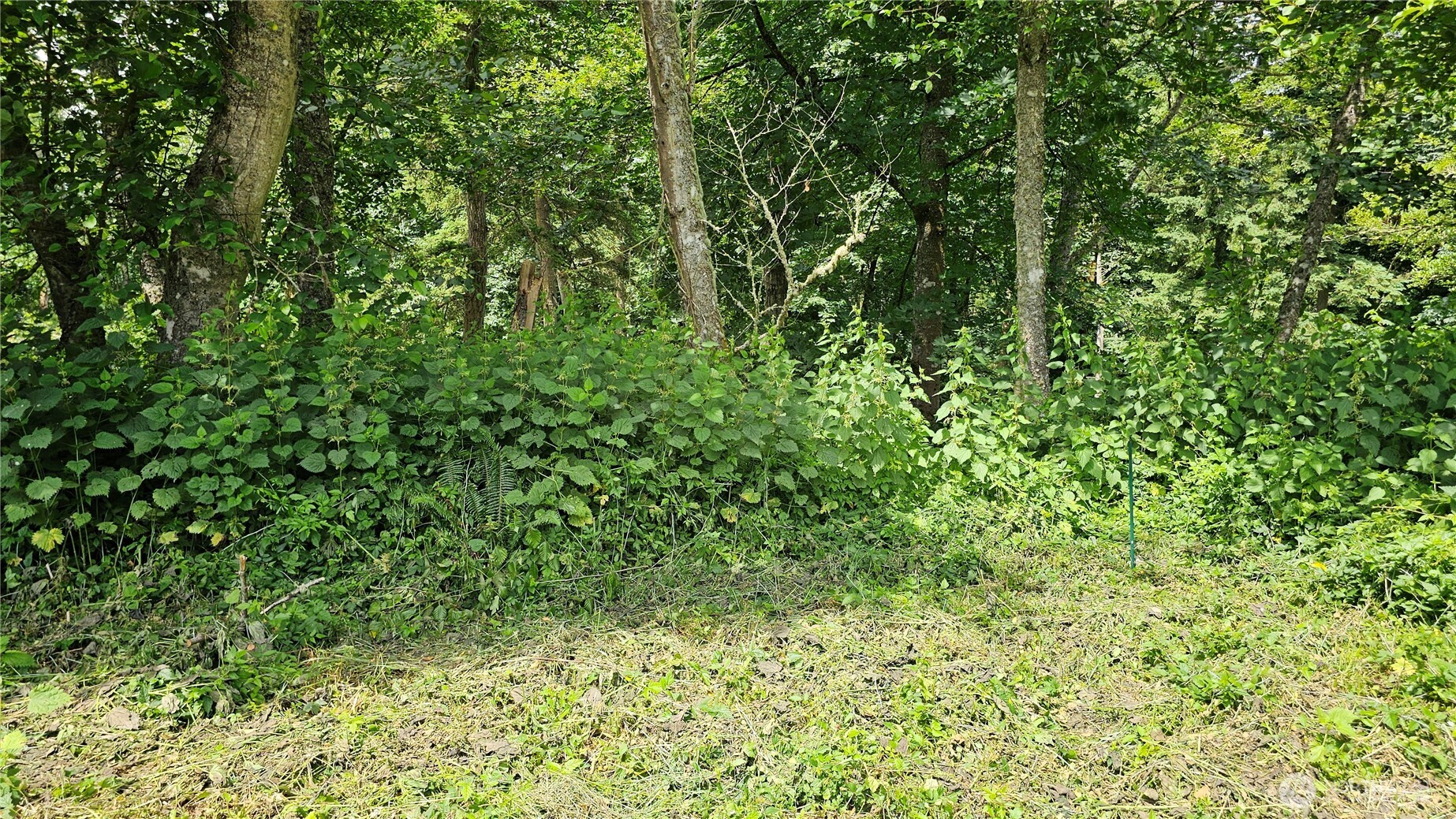304 Dove Drive Property Photo 28