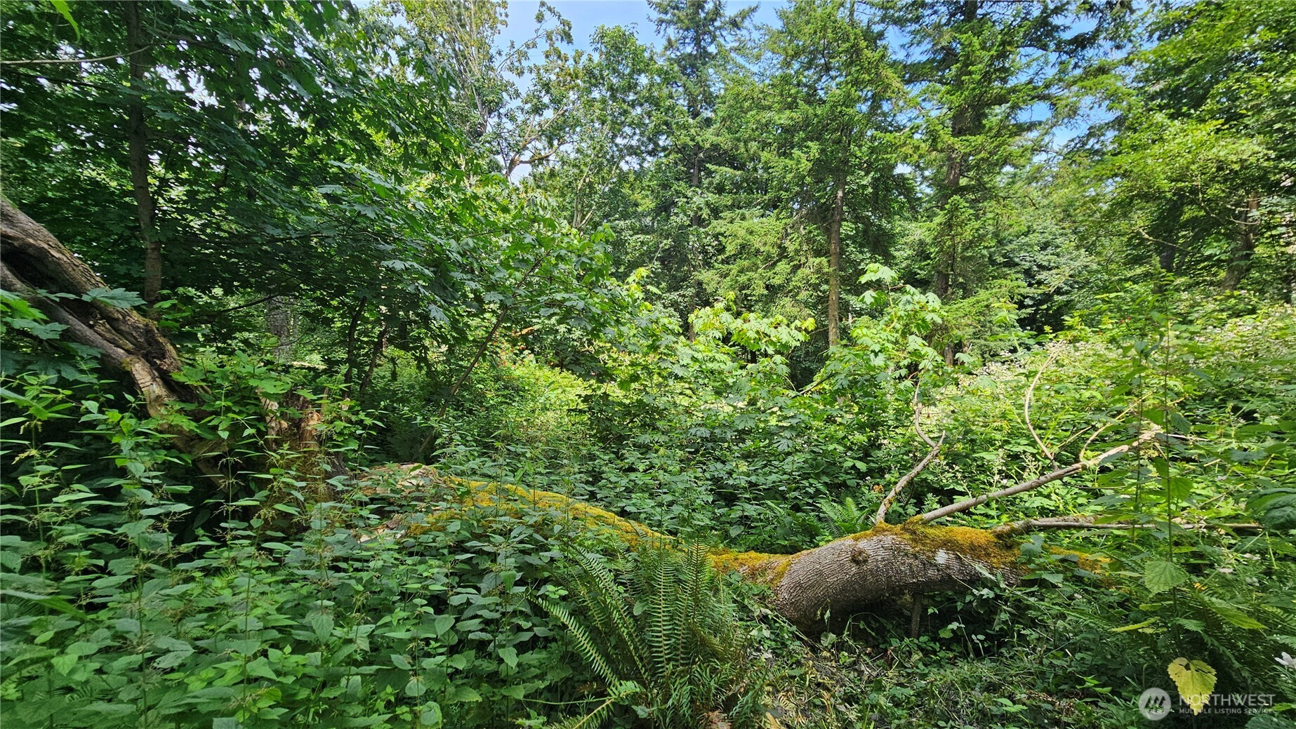 304 Dove Drive Property Photo 29