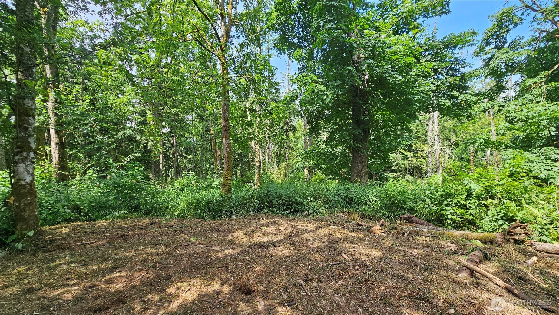 0 Xxxa Dove Drive Property Photo 1