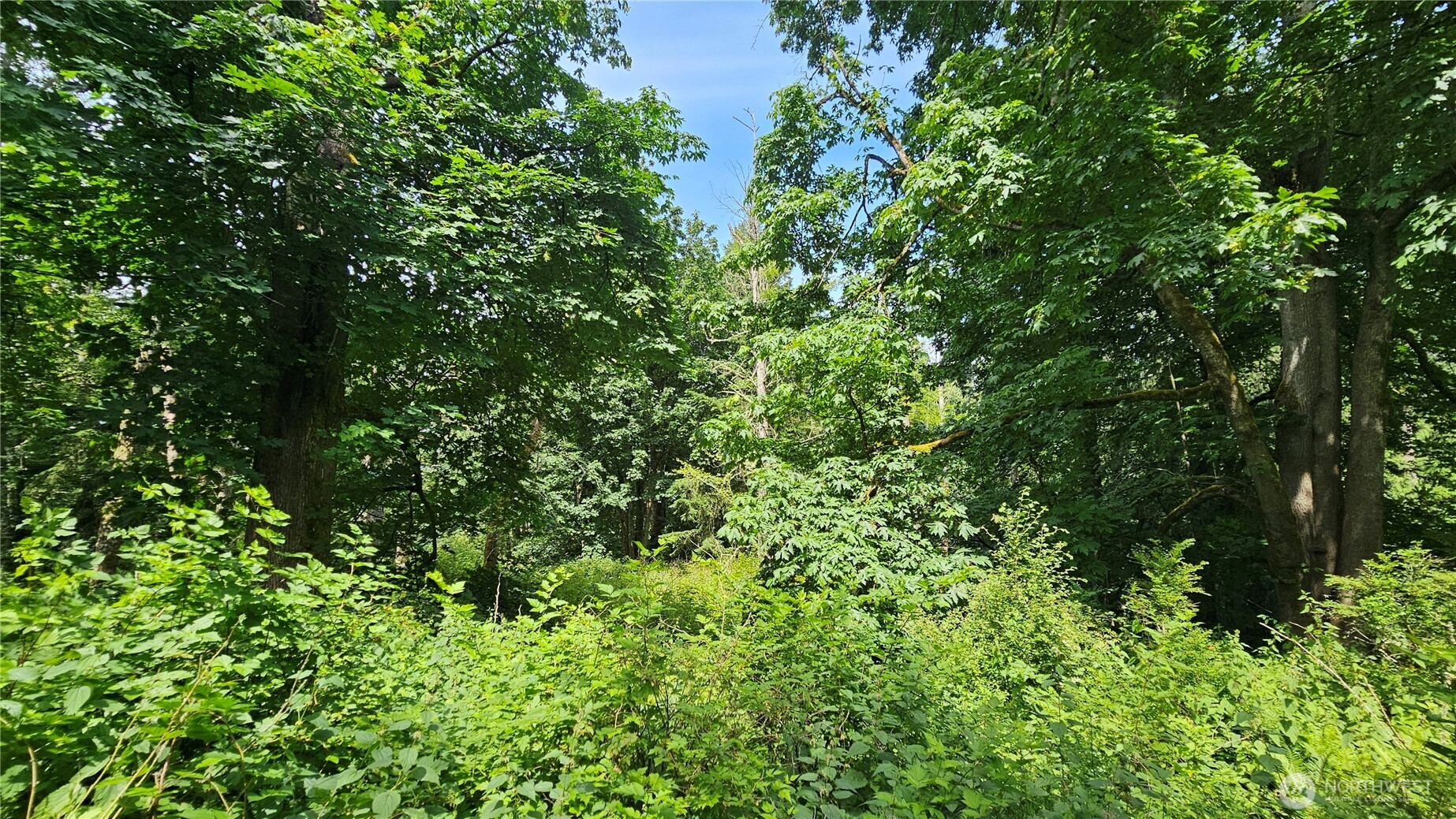 0 Xxxa Dove Drive Property Photo 14