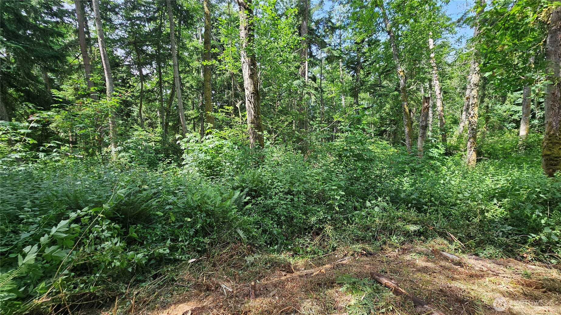 0 Xxxb Dove Drive Property Photo 1