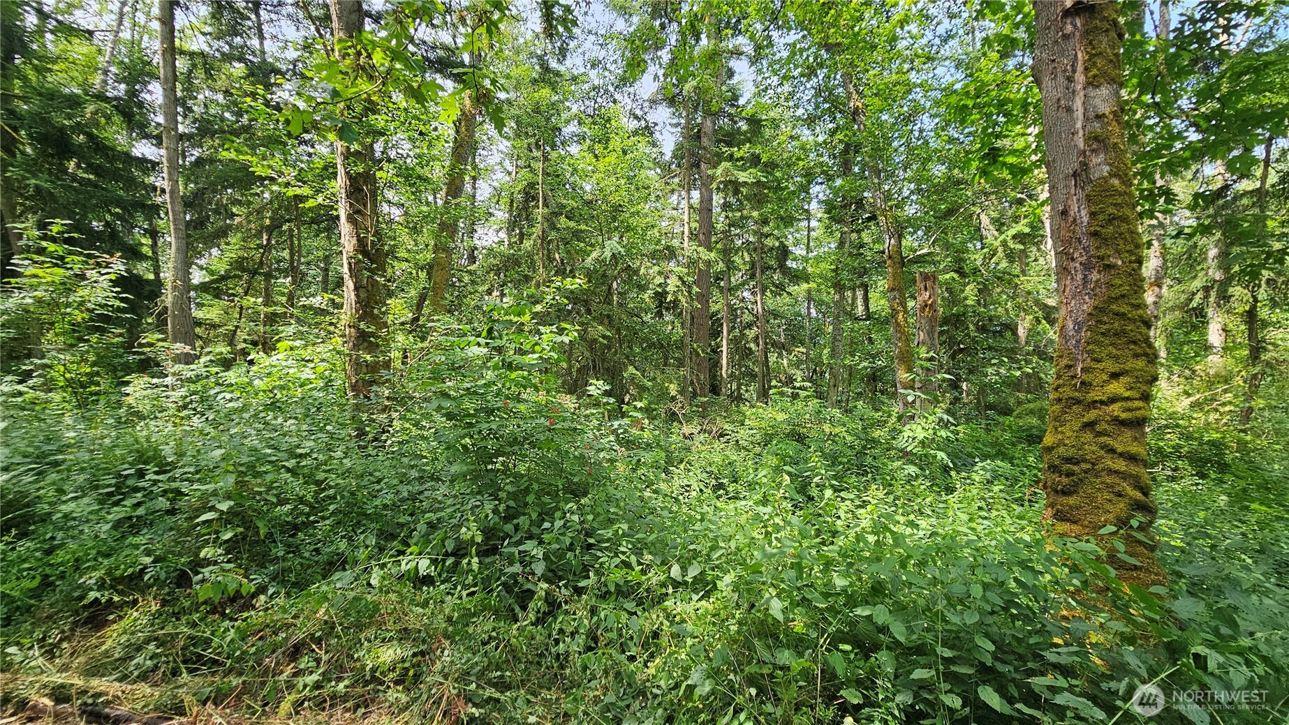 0 Xxxb Dove Drive Property Photo 12