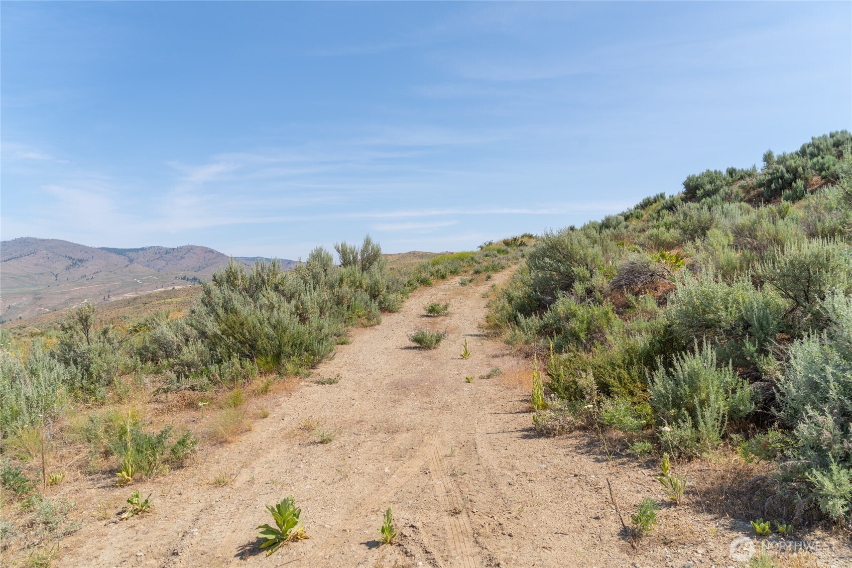 15 Cowboy Road Property Photo 8