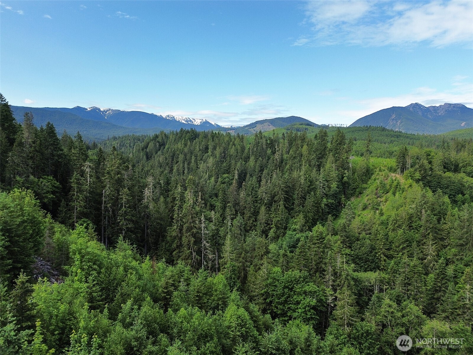 9999 Blue Mountain Road Property Photo 5