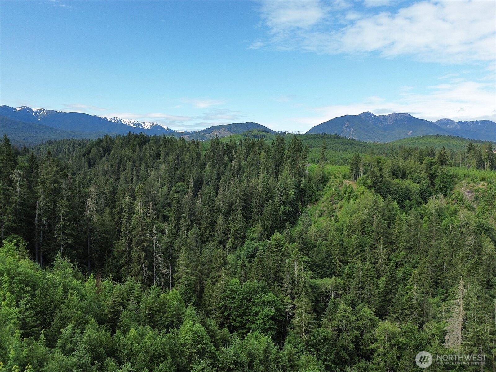 9999 Blue Mountain Road Property Photo 6