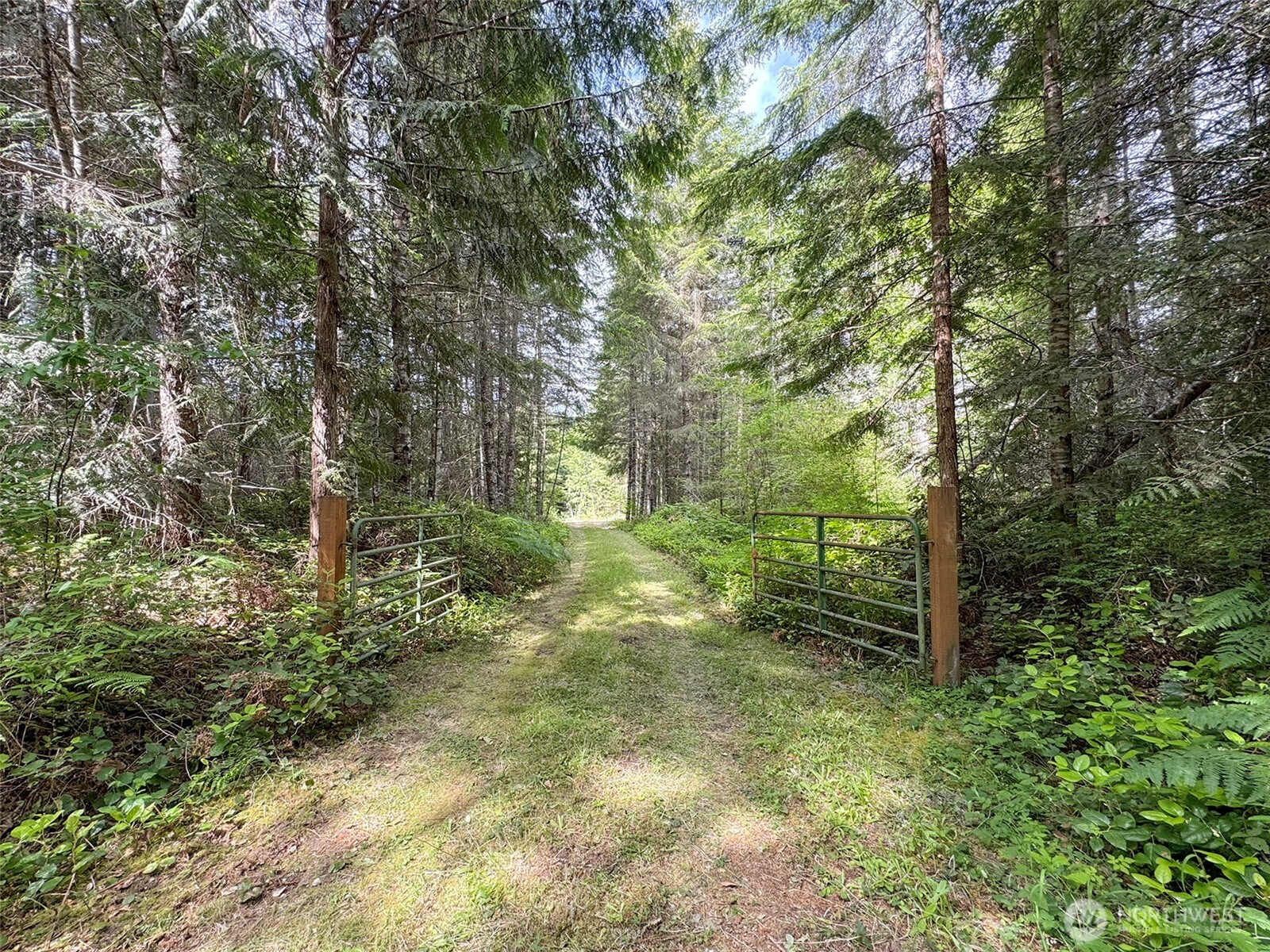 9999 Blue Mountain Road Property Photo 9