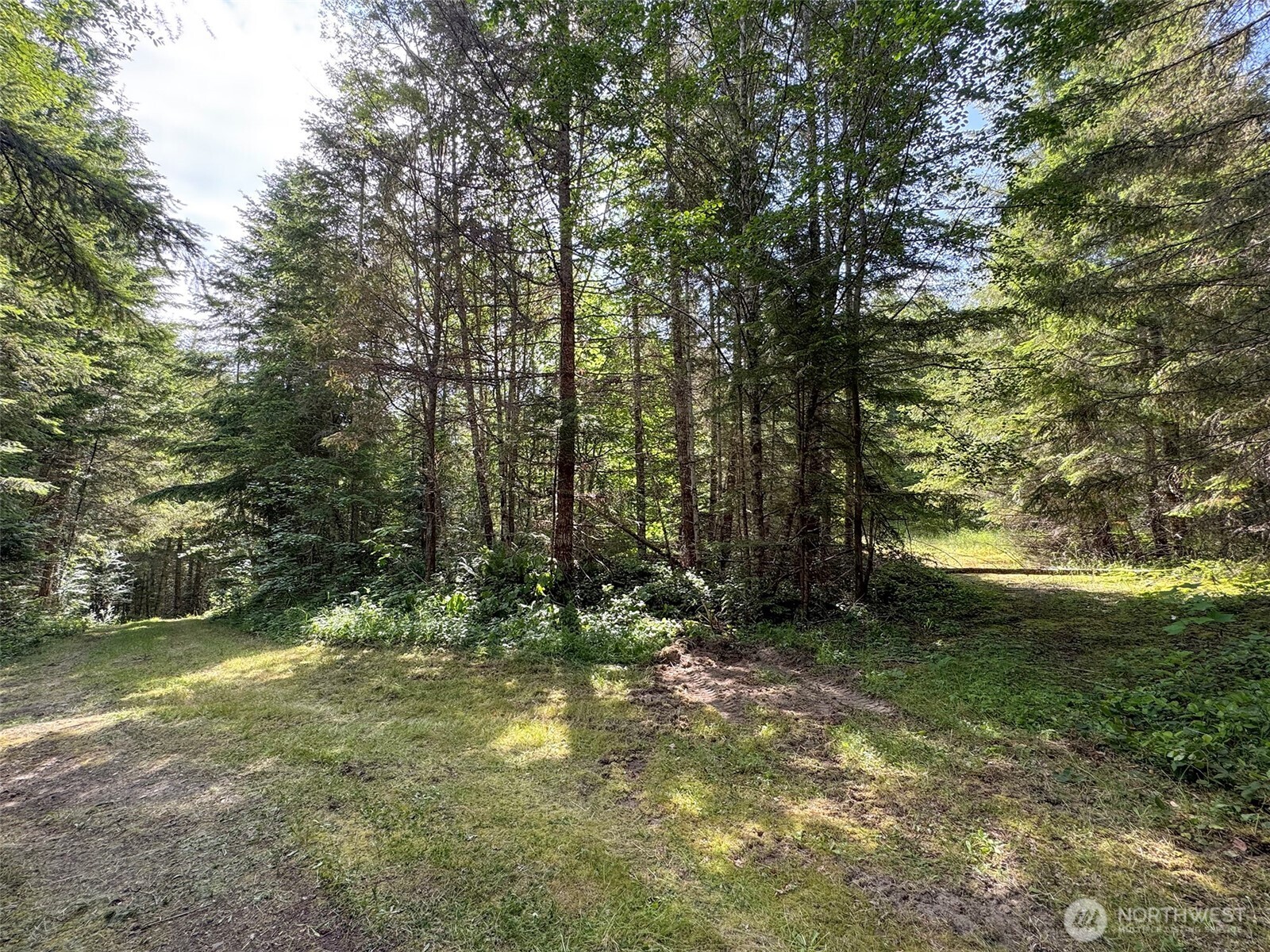 9999 Blue Mountain Road Property Photo 12