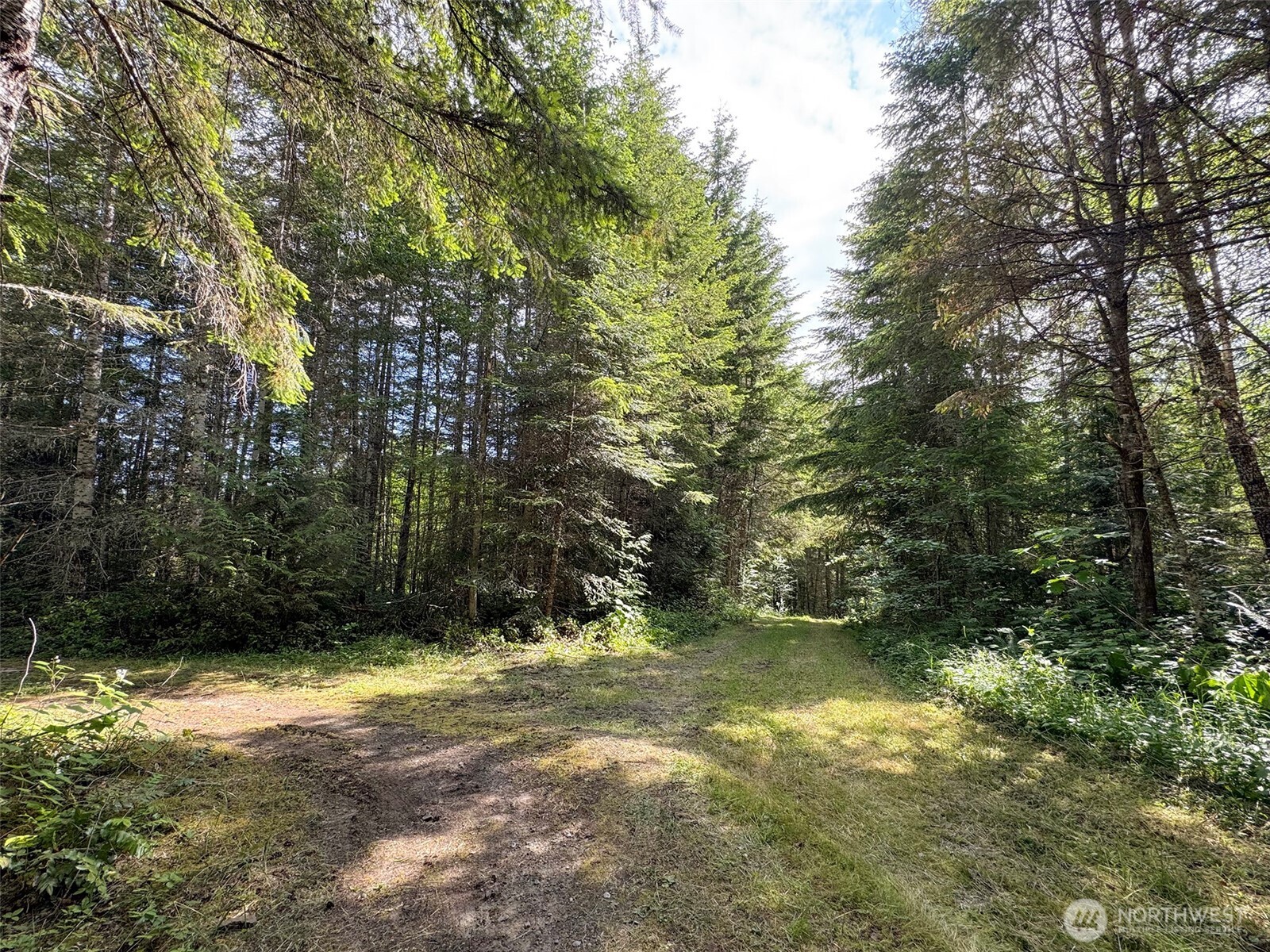 9999 Blue Mountain Road Property Photo 13