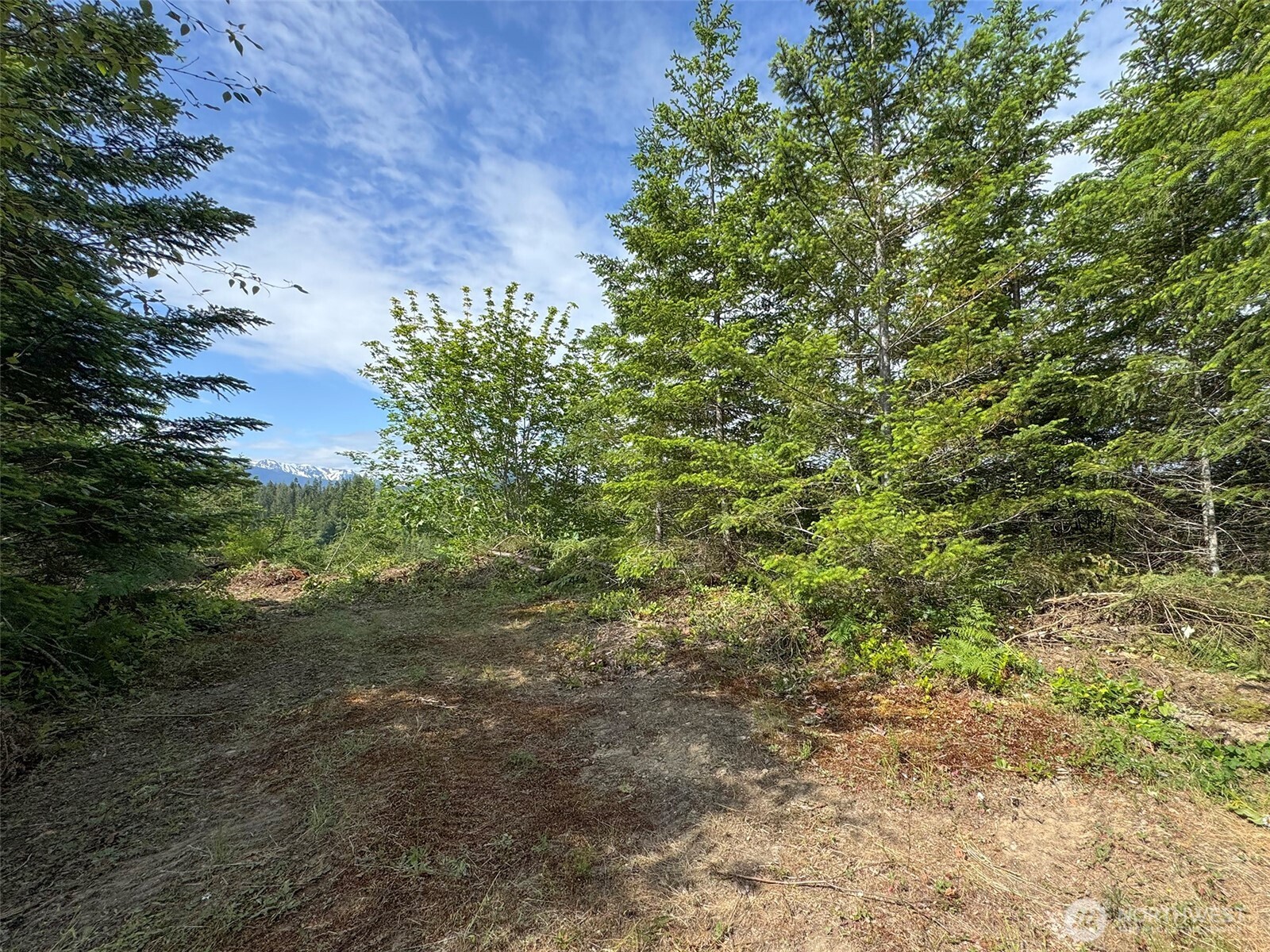 9999 Blue Mountain Road Property Photo 14