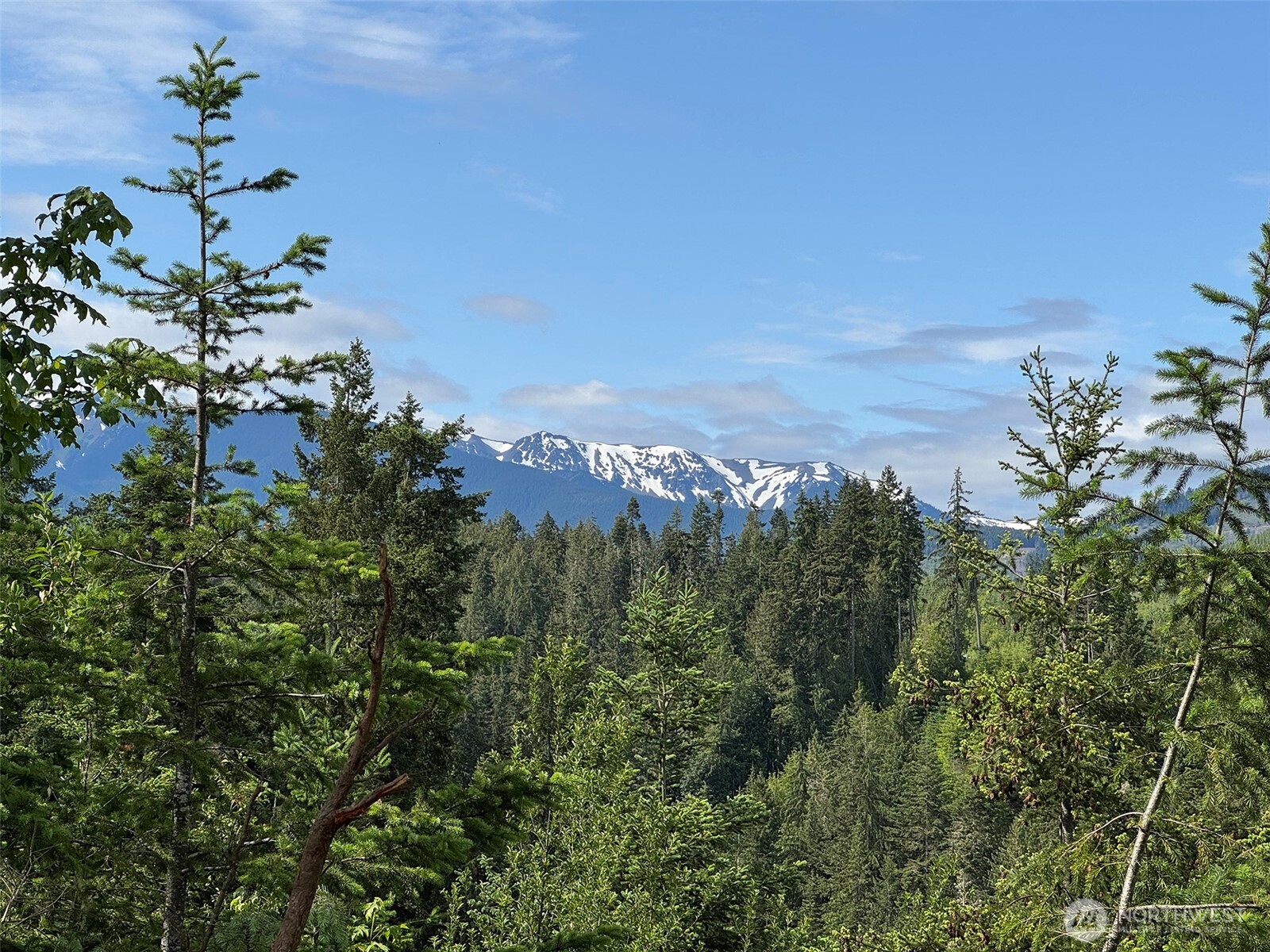 9999 Blue Mountain Road Property Photo 15