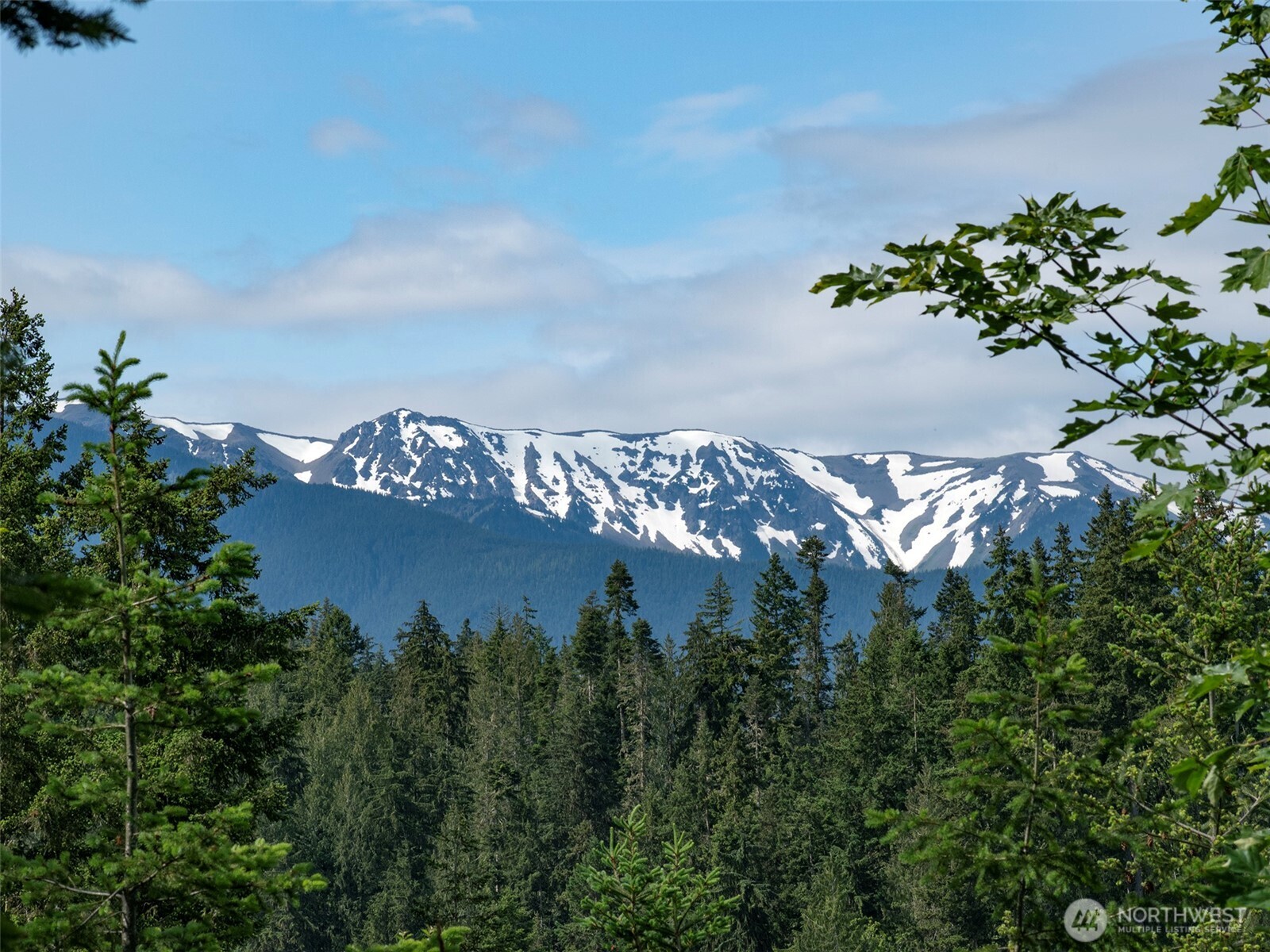 9999 Blue Mountain Road Property Photo 16