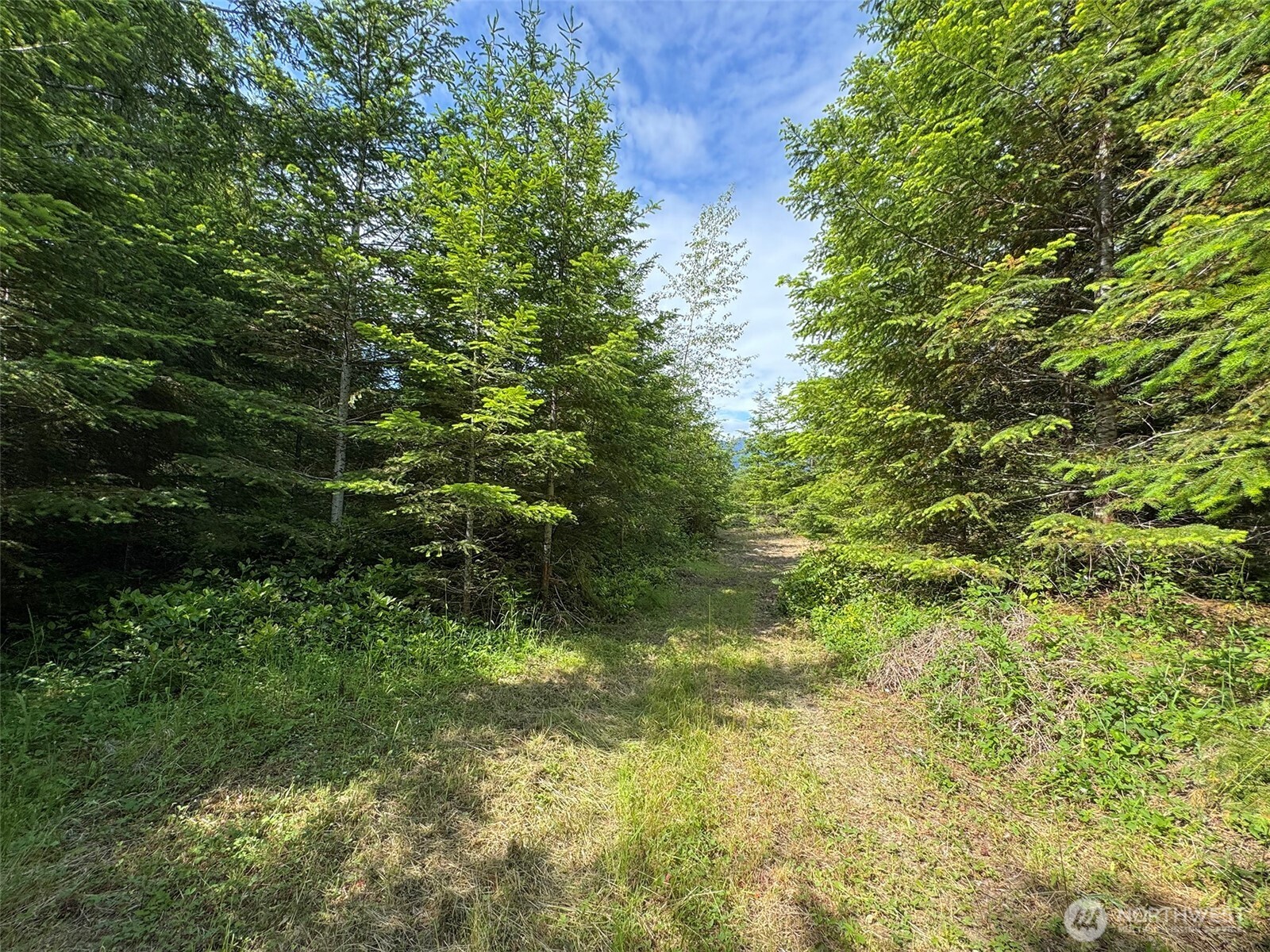 9999 Blue Mountain Road Property Photo 19