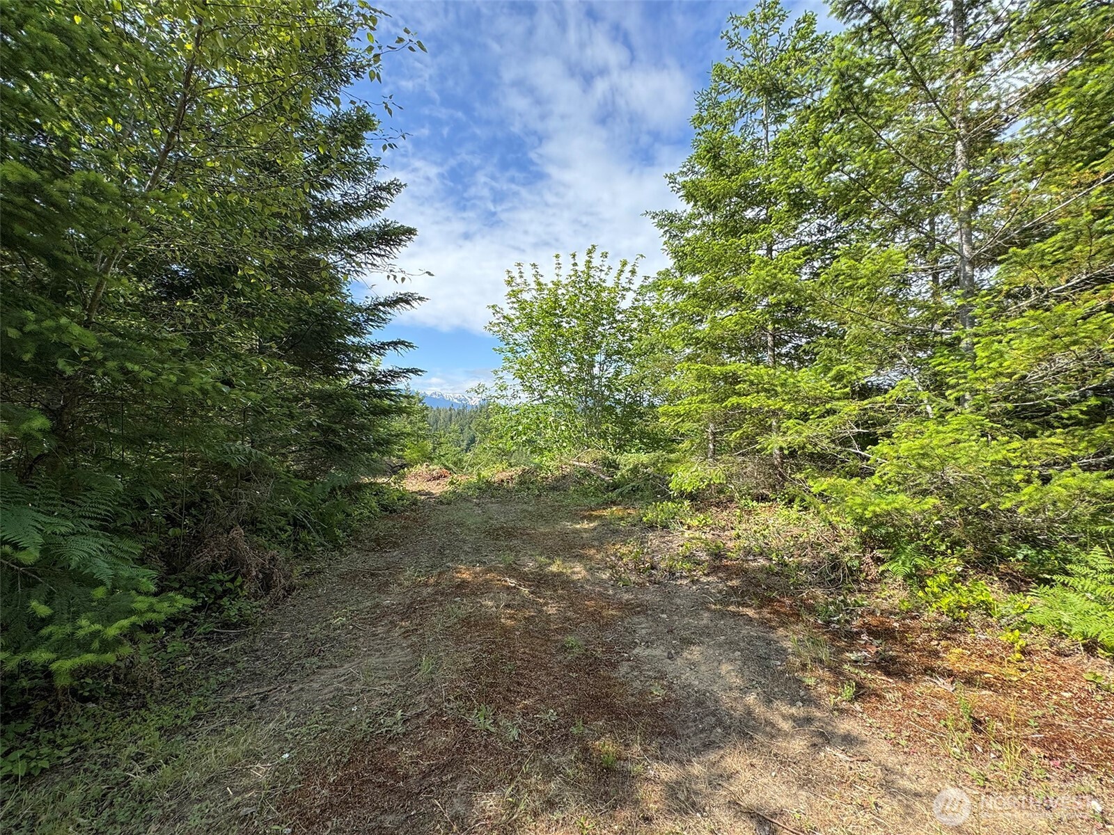 9999 Blue Mountain Road Property Photo 20