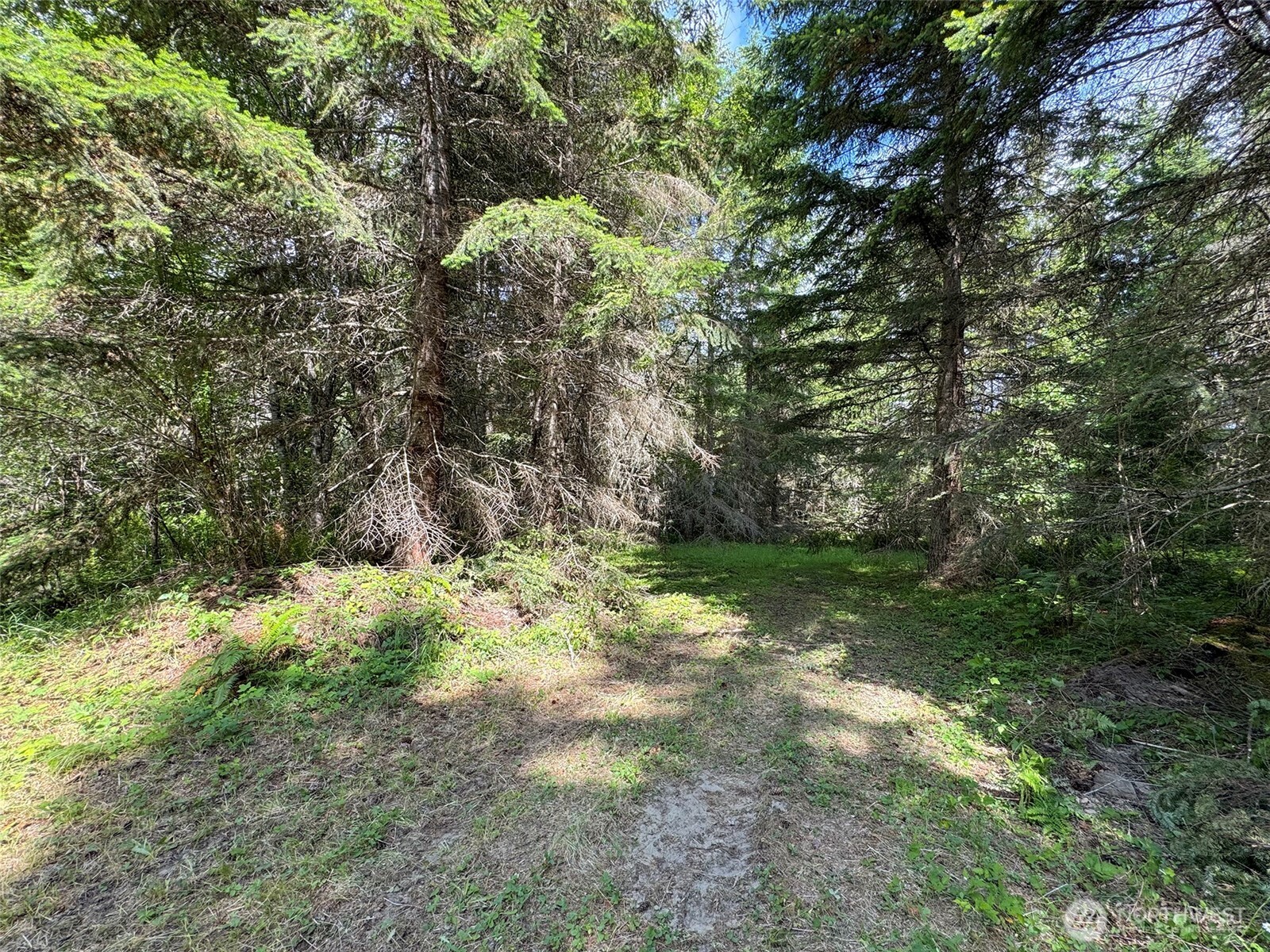 9999 Blue Mountain Road Property Photo 21