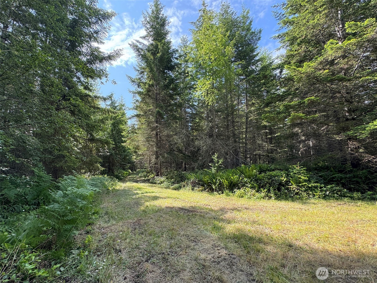 9999 Blue Mountain Road Property Photo 22