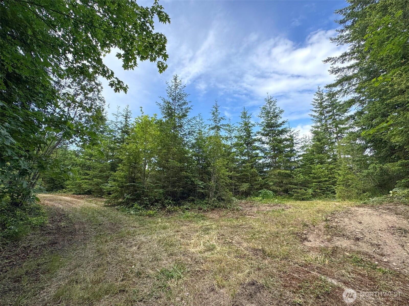 9999 Blue Mountain Road Property Photo 23