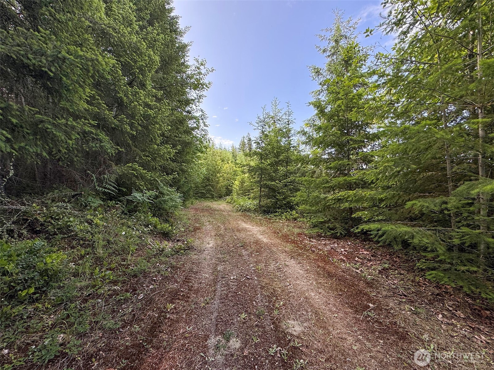 9999 Blue Mountain Road Property Photo 24