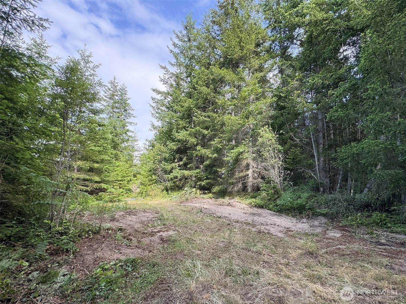 9999 Blue Mountain Road Property Photo 27