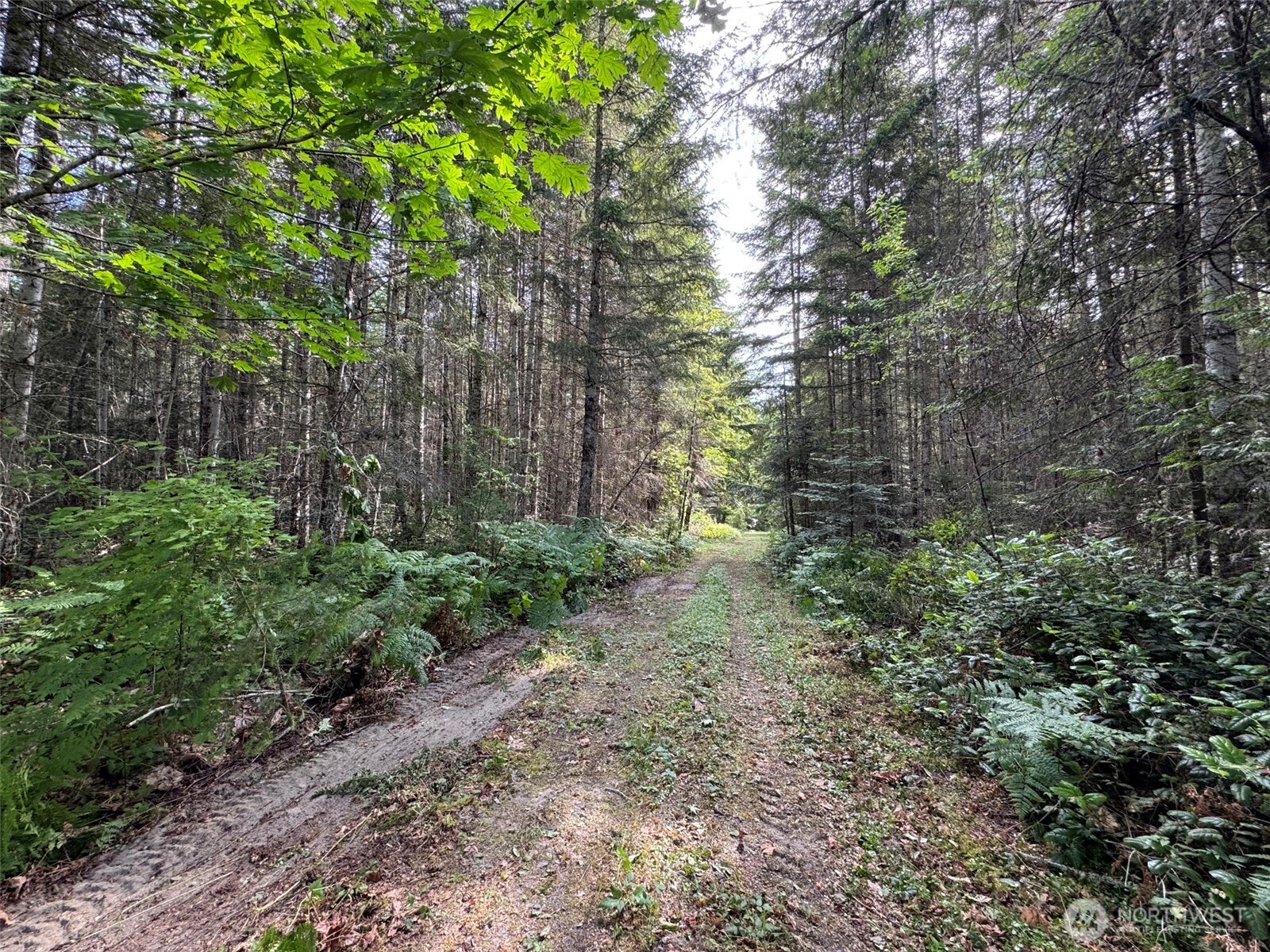 9999 Blue Mountain Road Property Photo 28