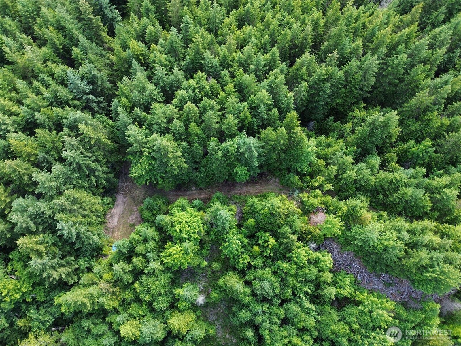 9999 Blue Mountain Road Property Photo 31