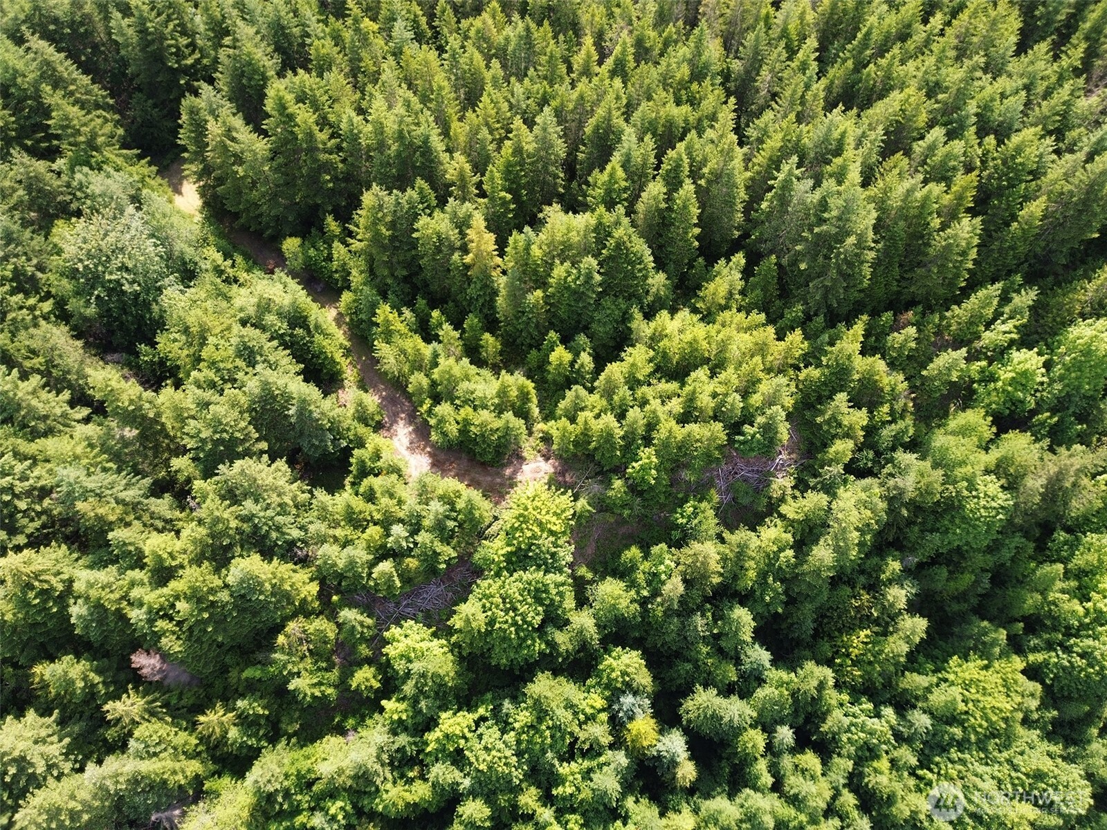 9999 Blue Mountain Road Property Photo 32