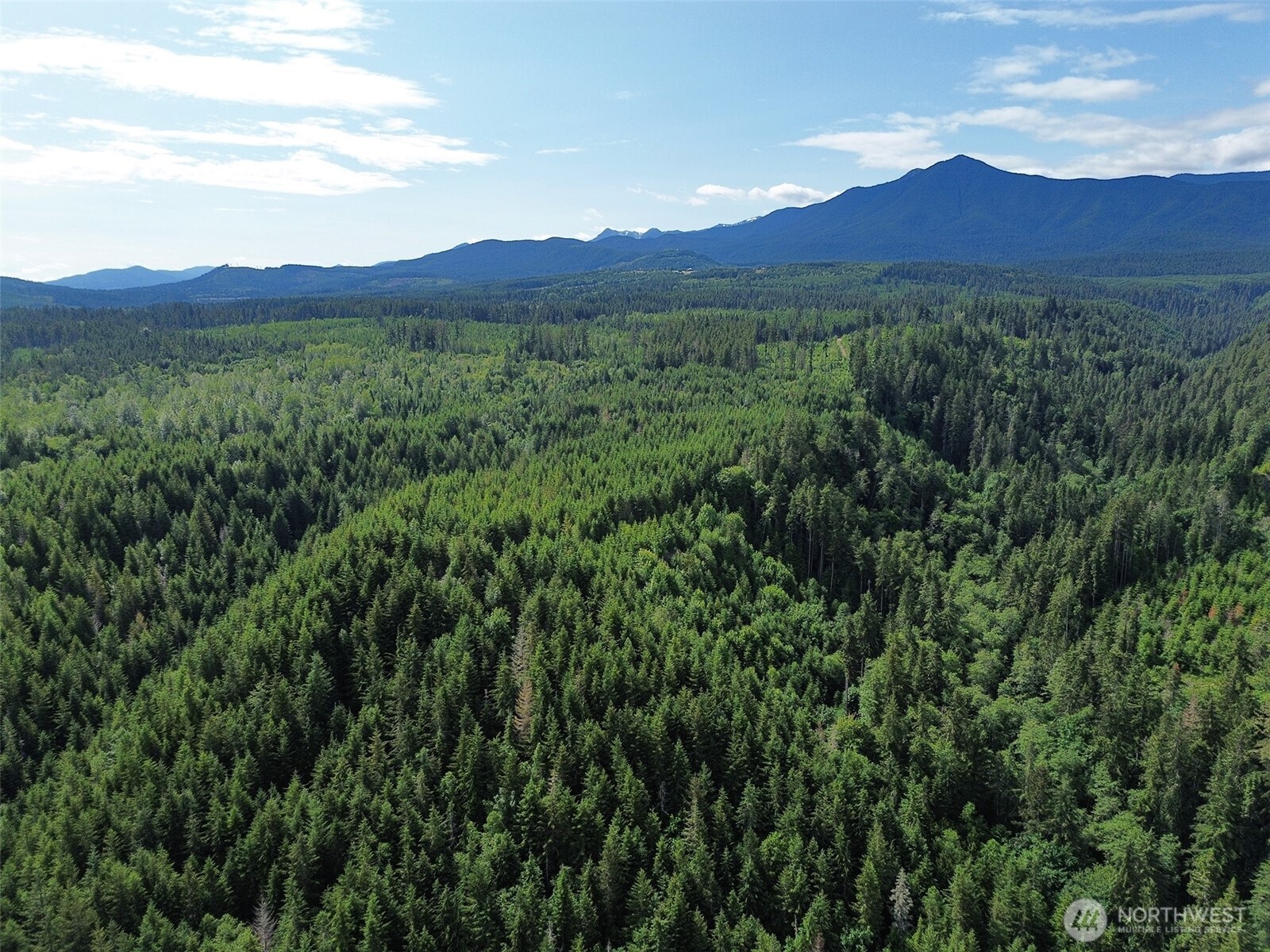 9999 Blue Mountain Road Property Photo 34