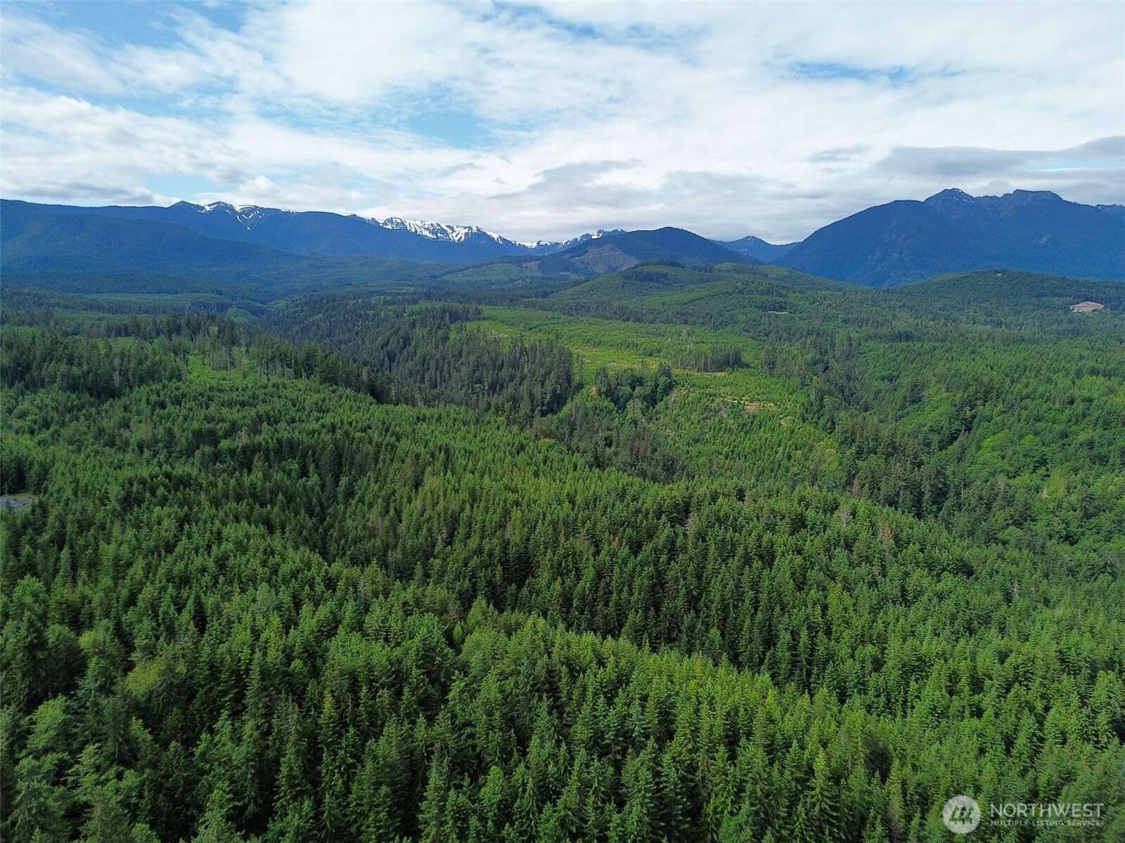 9999 Blue Mountain Road Property Photo 38