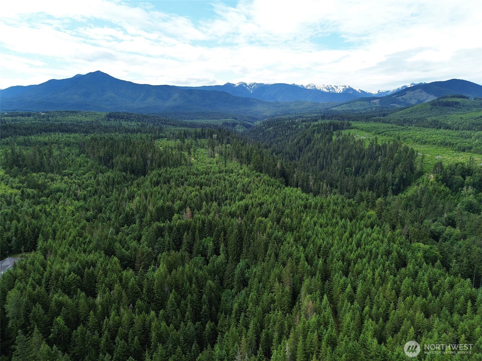 9999 Blue Mountain Road Property Photo 39