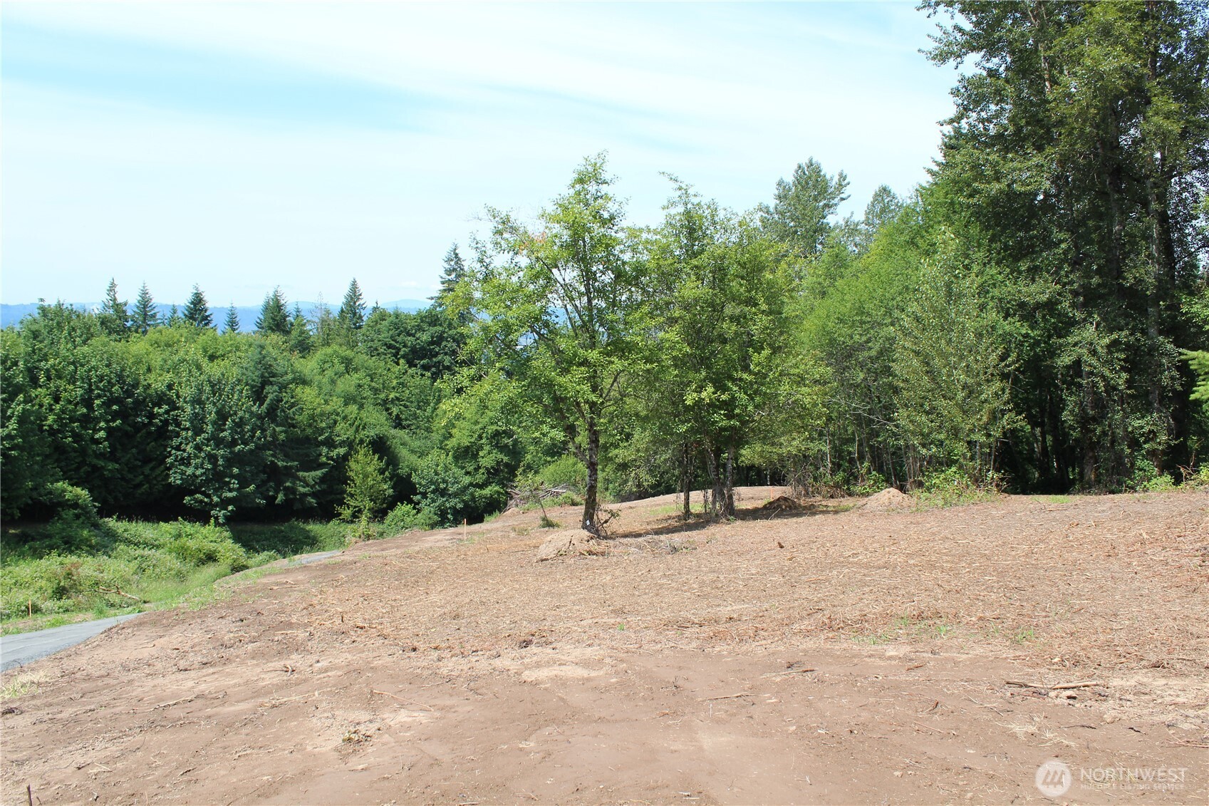 0 Carrolls Road Property Photo 6
