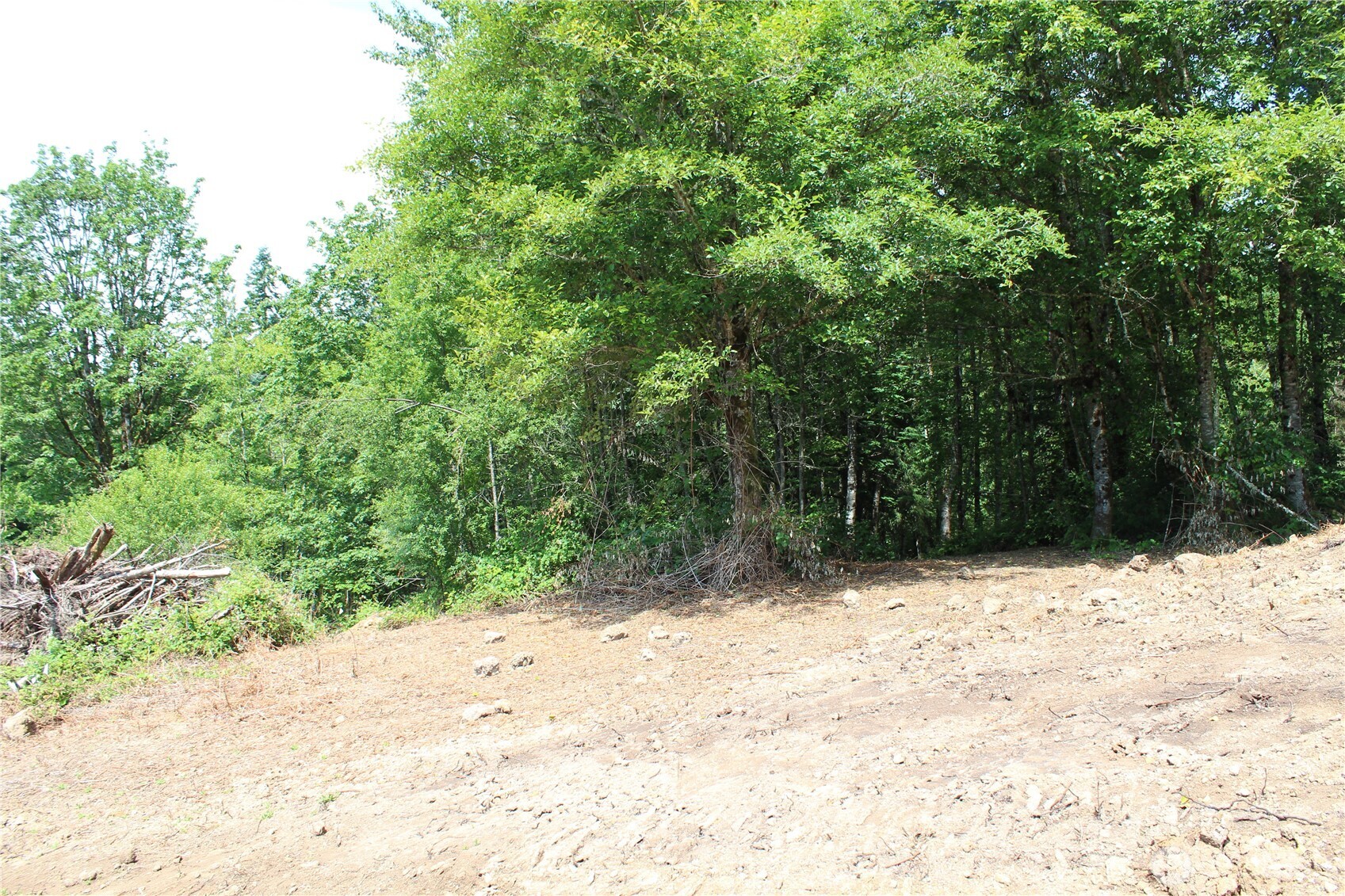 0 Carrolls Road Property Photo 8